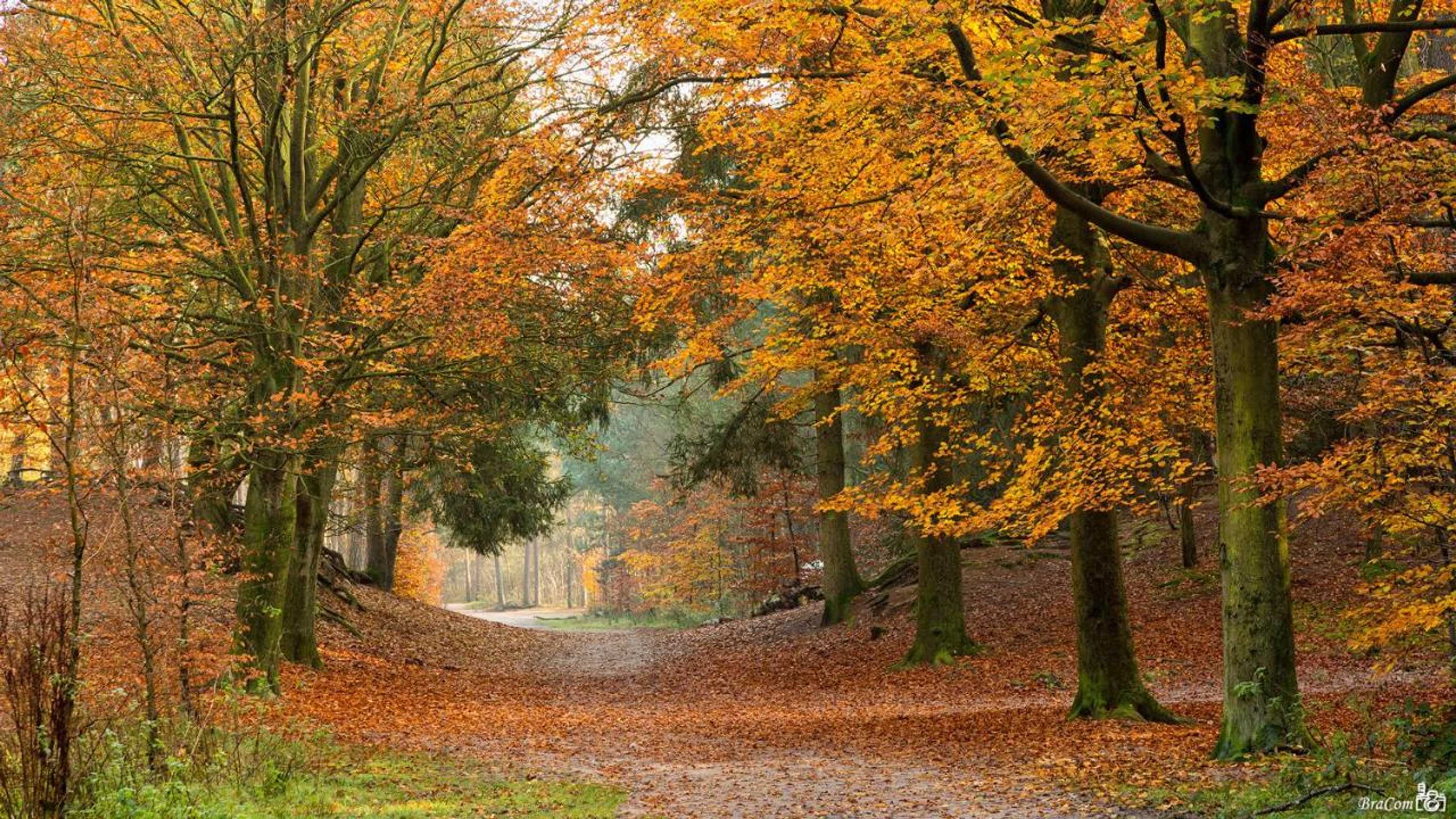 Gift card for La Grange 28