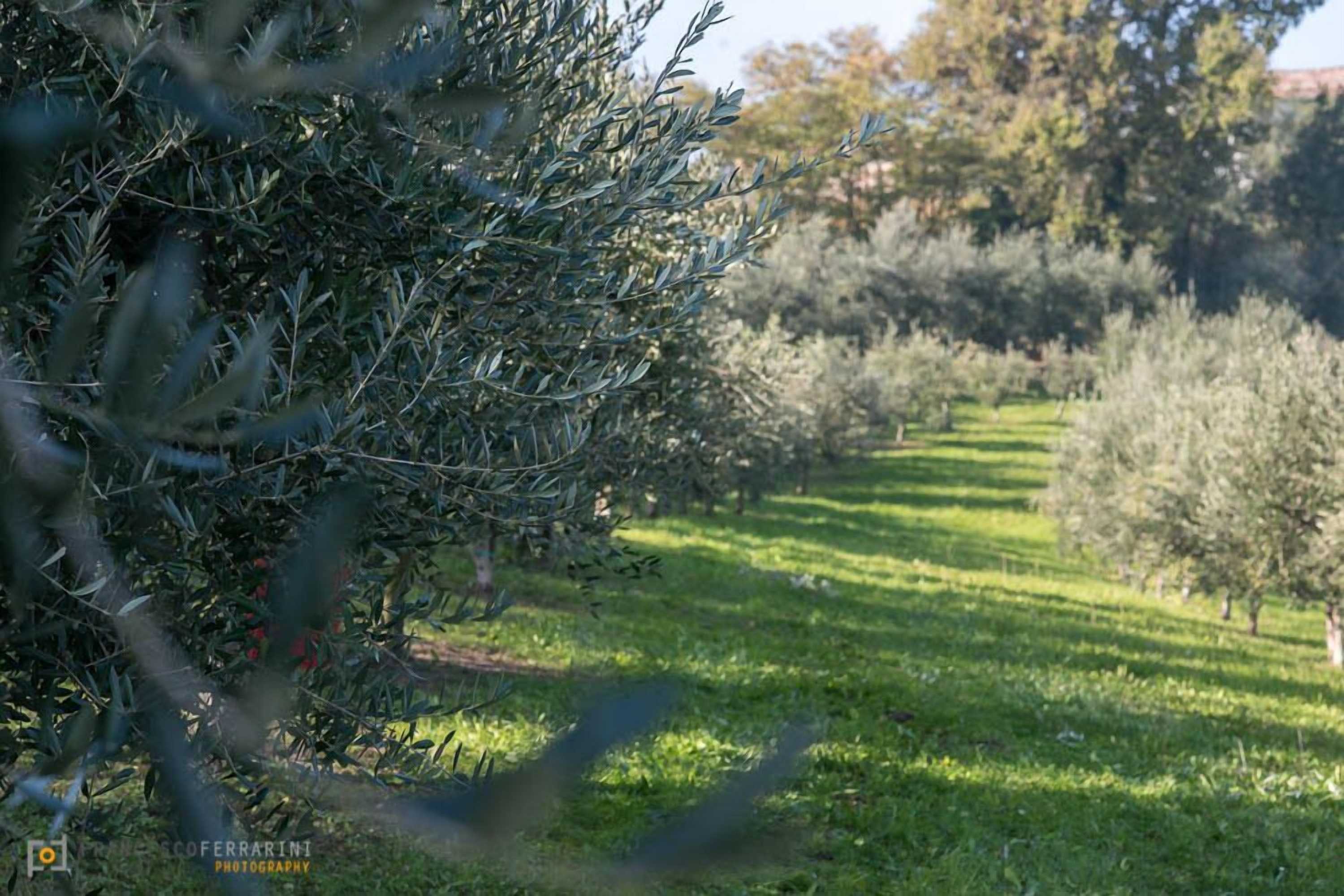 Gift card for Agriturismo Acetaia Sereni Gift card for Agriturismo Acetaia Sereni
