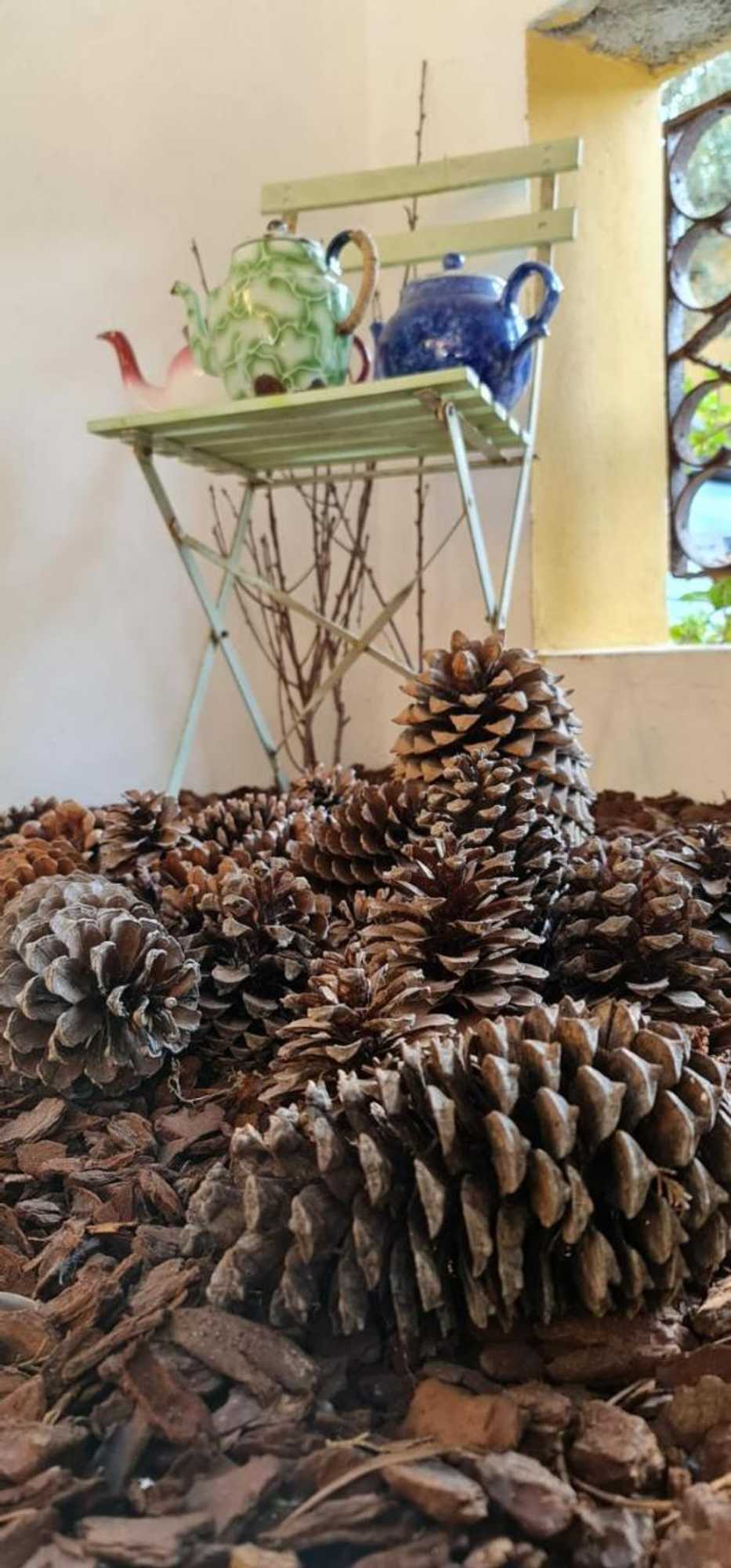 Gift card for Casa De Campo Colmeal