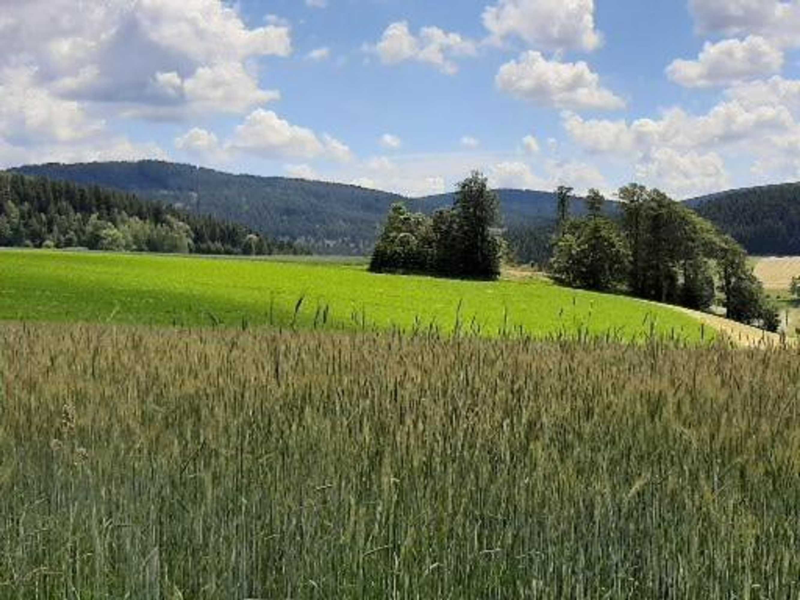 Gift card for Landgasthof Neitsch