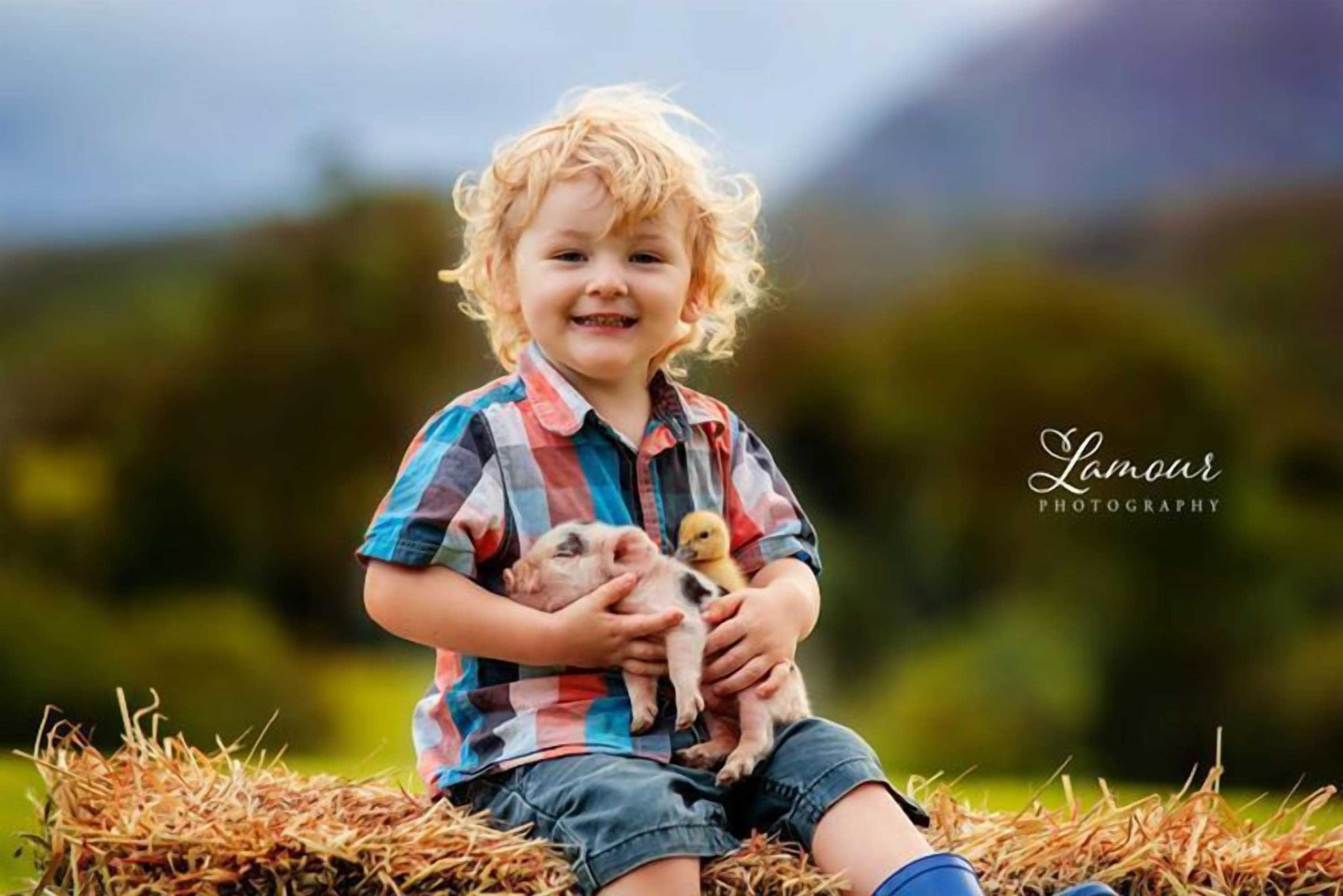 Gift card for Blackwattle Farm B&b And Farm Stay