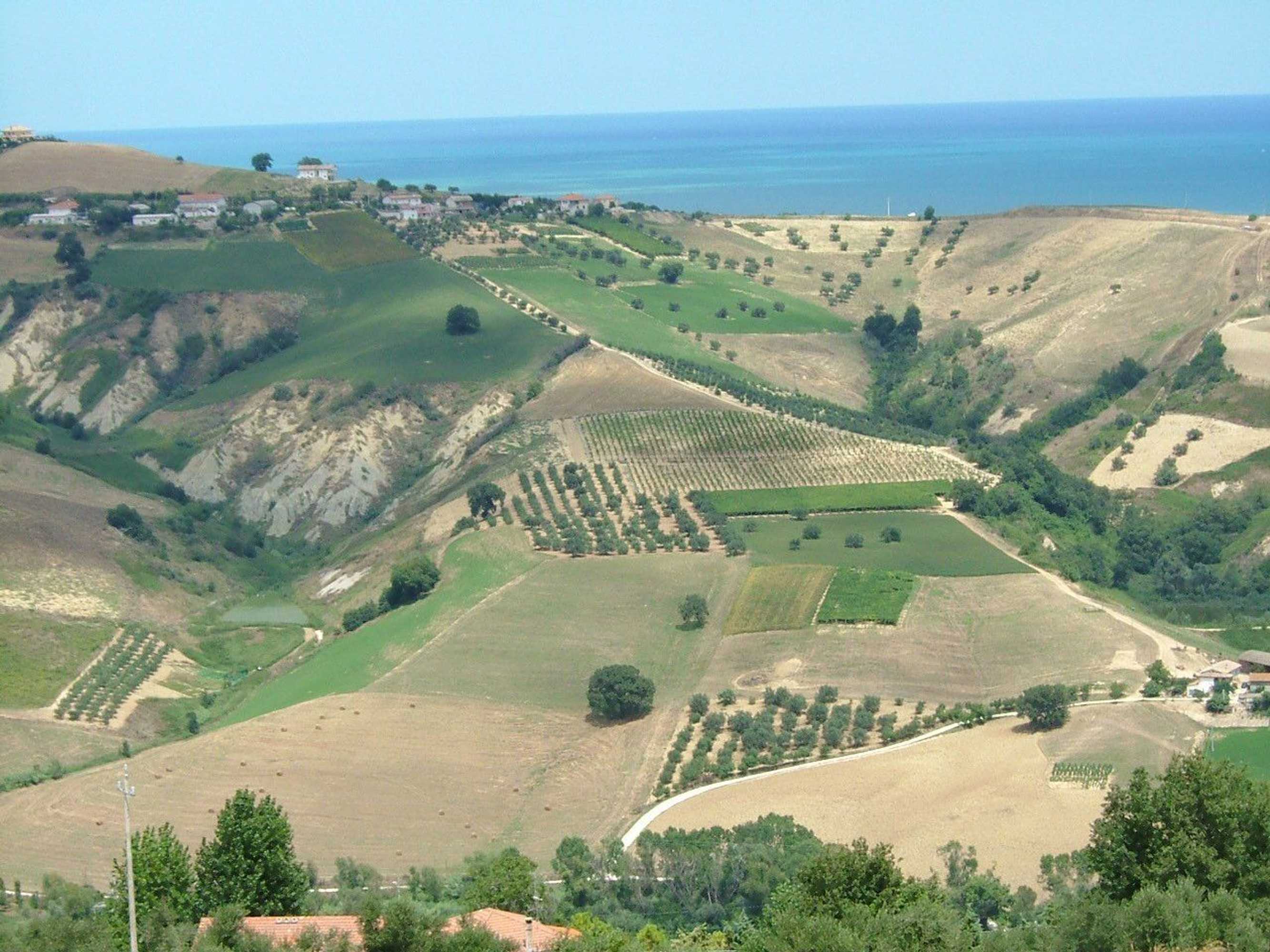 Gift card for Agriturismo Le Macine