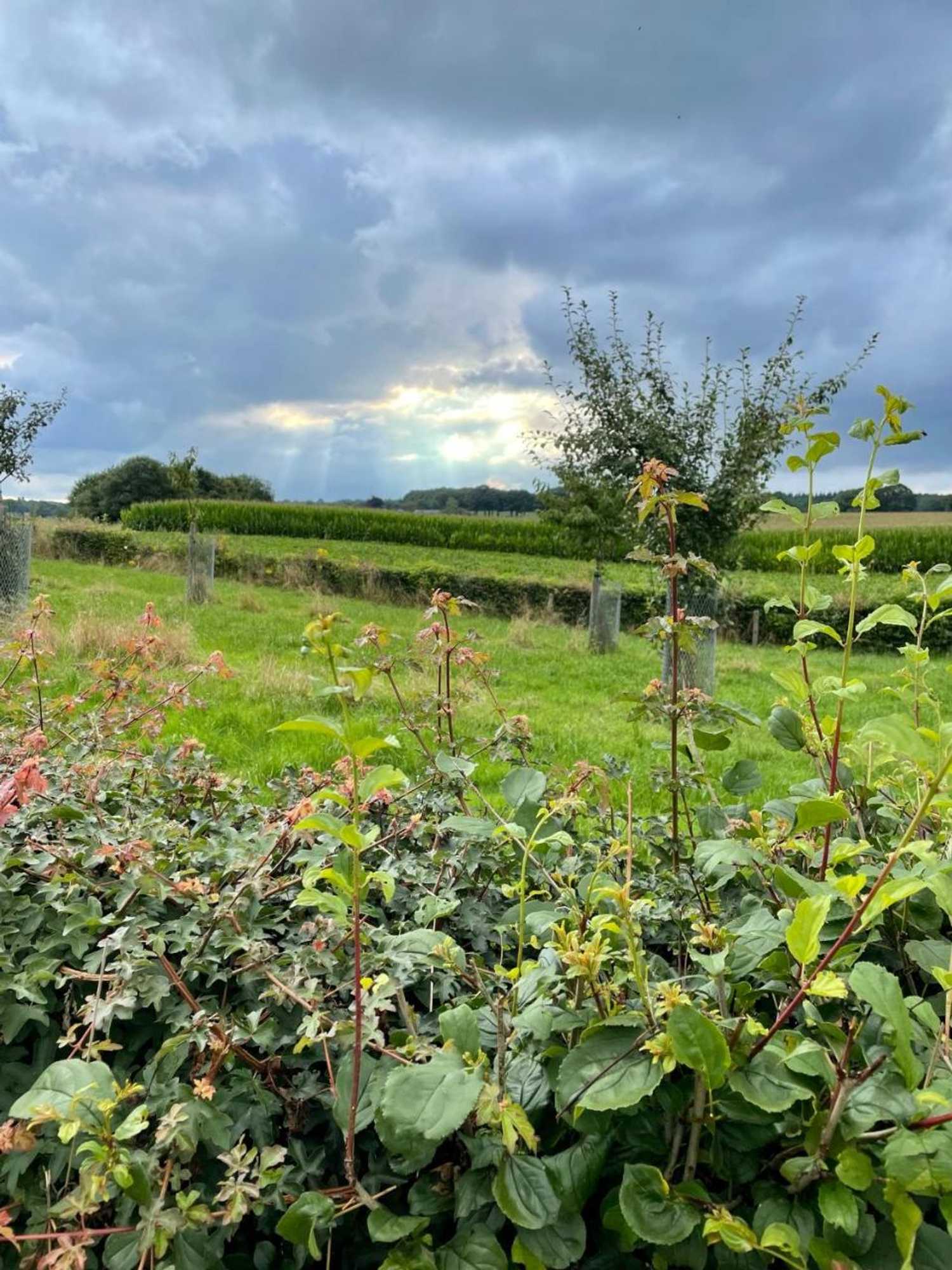 Gift card for Camping Lagewald Vakantiehuis