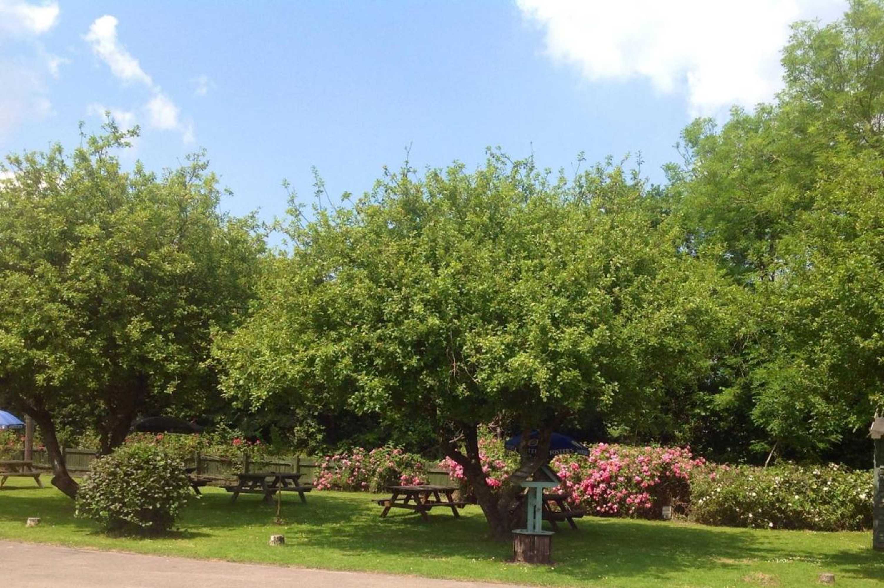 Gift card for Anchor Inn