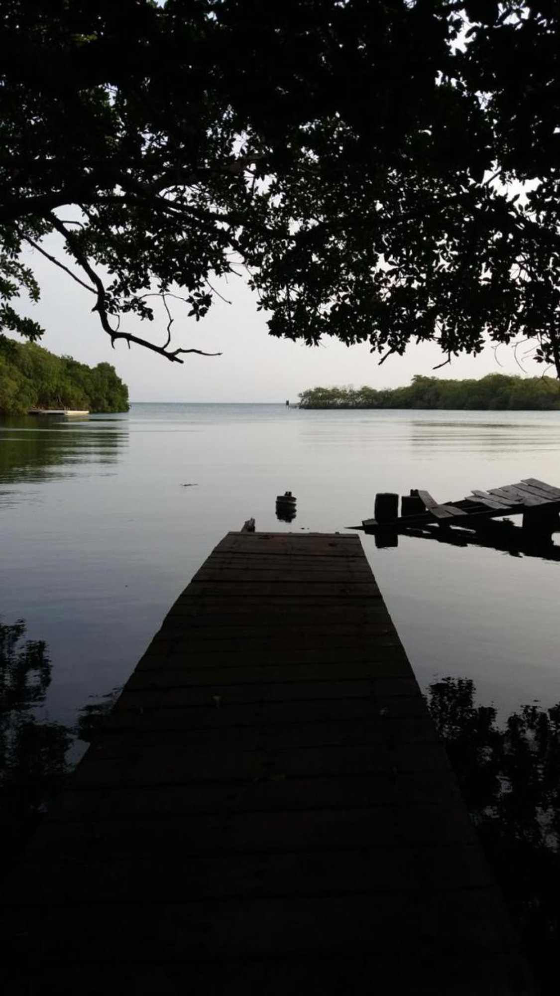 Gift card for Ecohouse Las Flores