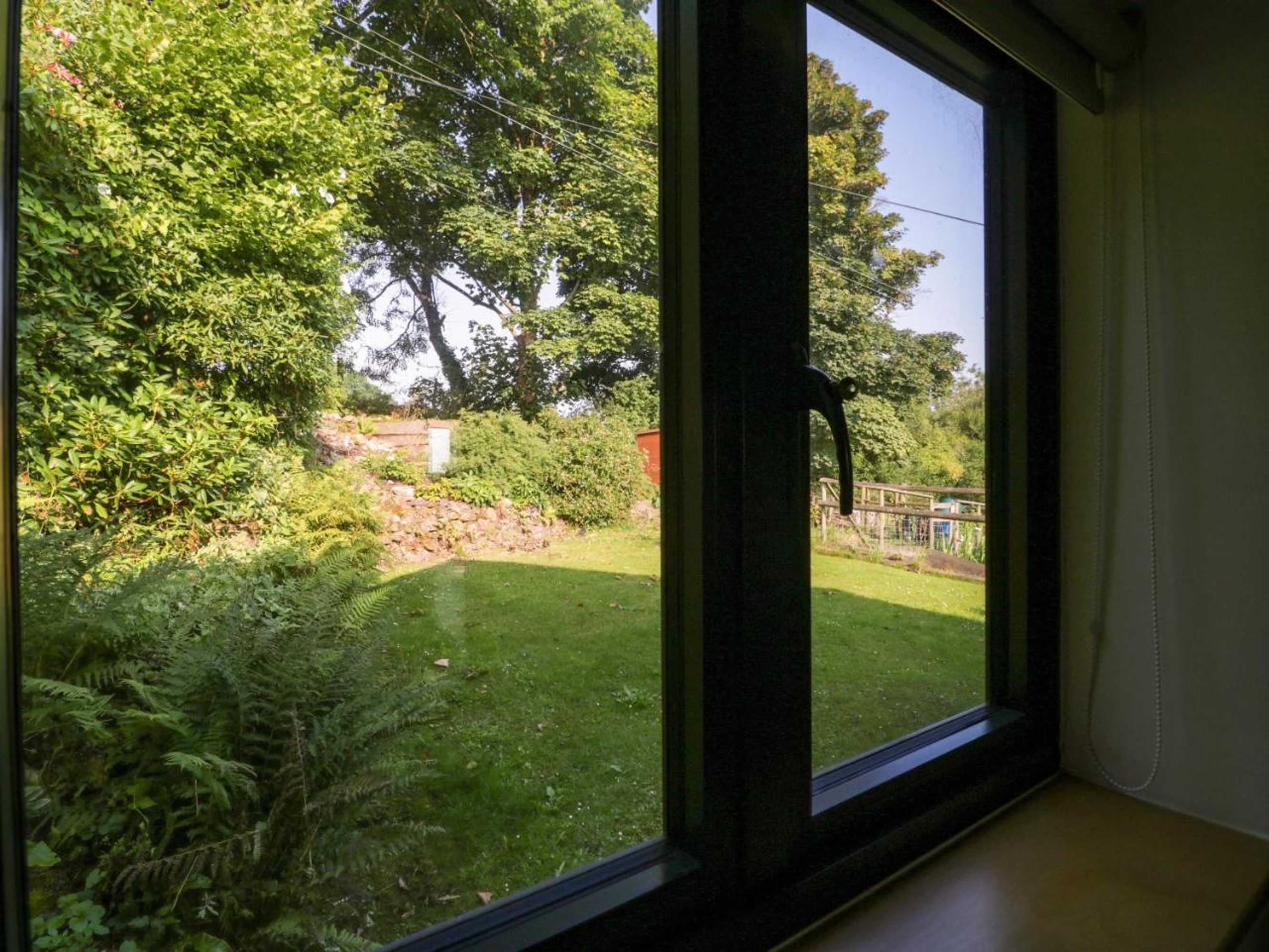 Gift card for Black Cat Bach