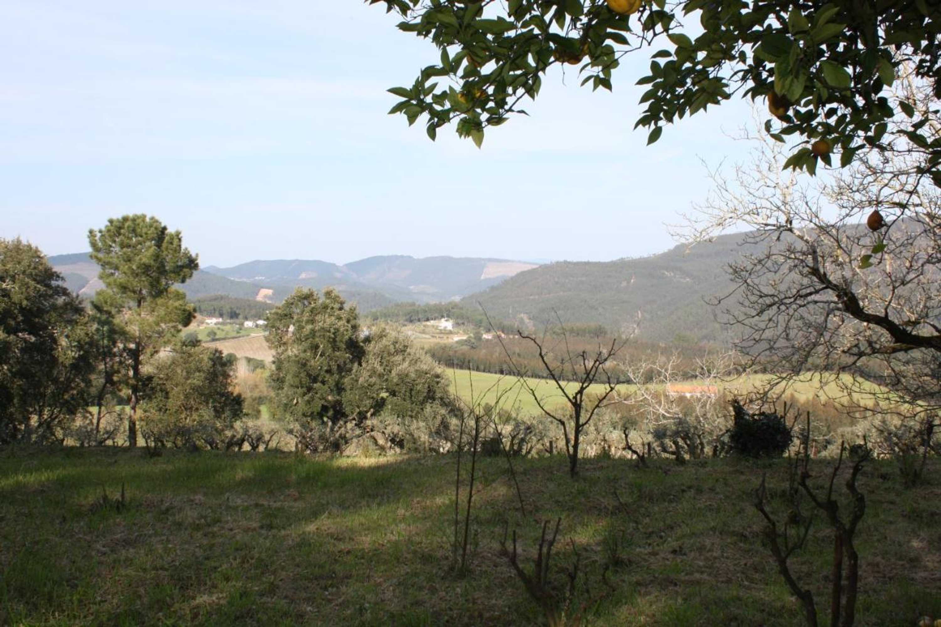 Gift card for Quinta do Cerquito