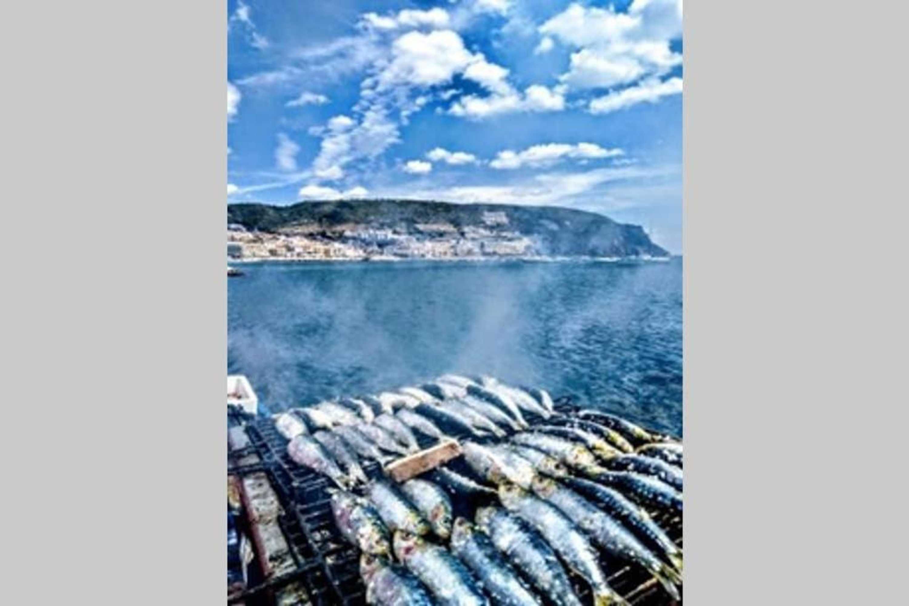 Gift card for Páteo da Memória Casa do Pintor