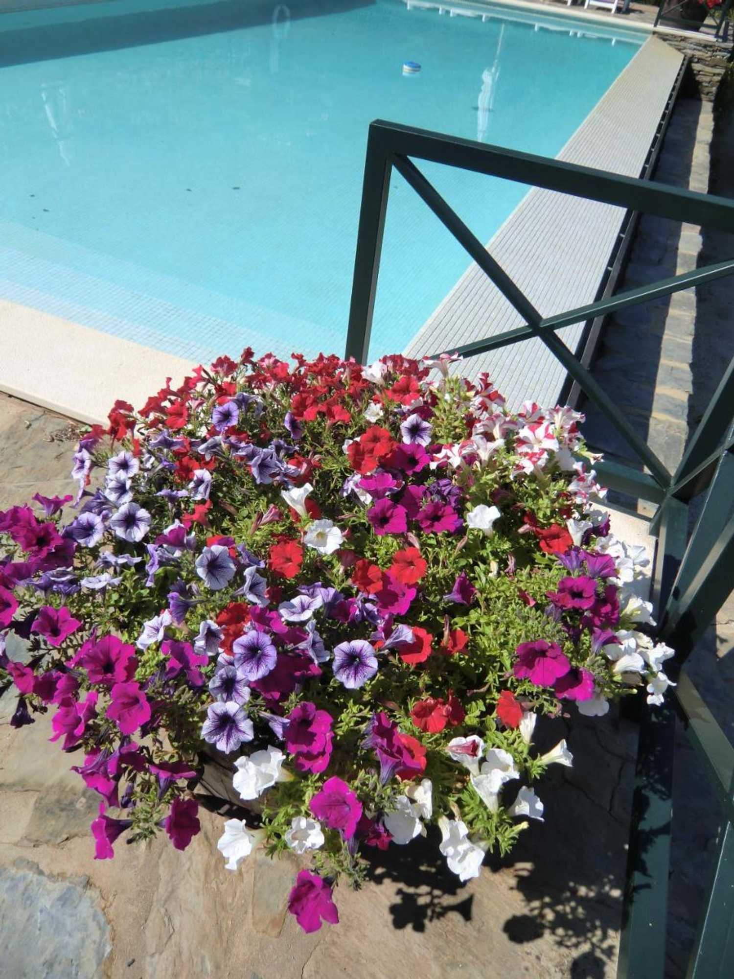 Gift card for Quinta Das Aveleiras