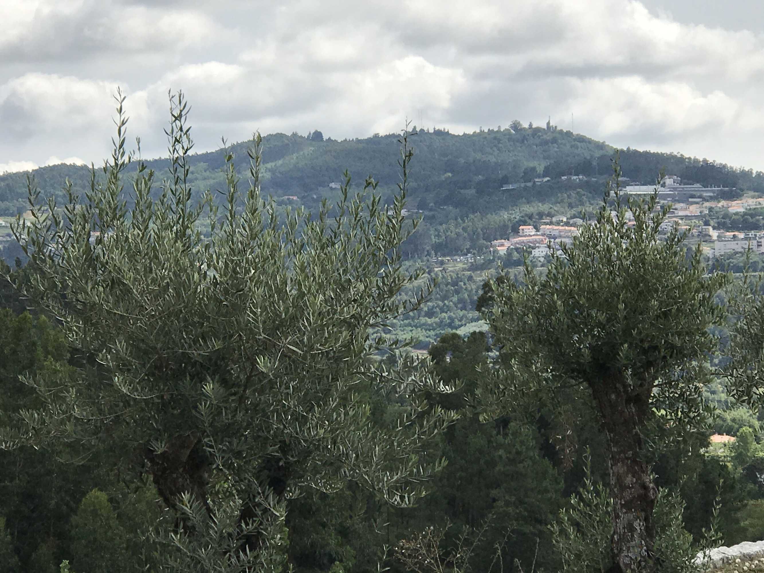 Gift card for Propriedade do Pires