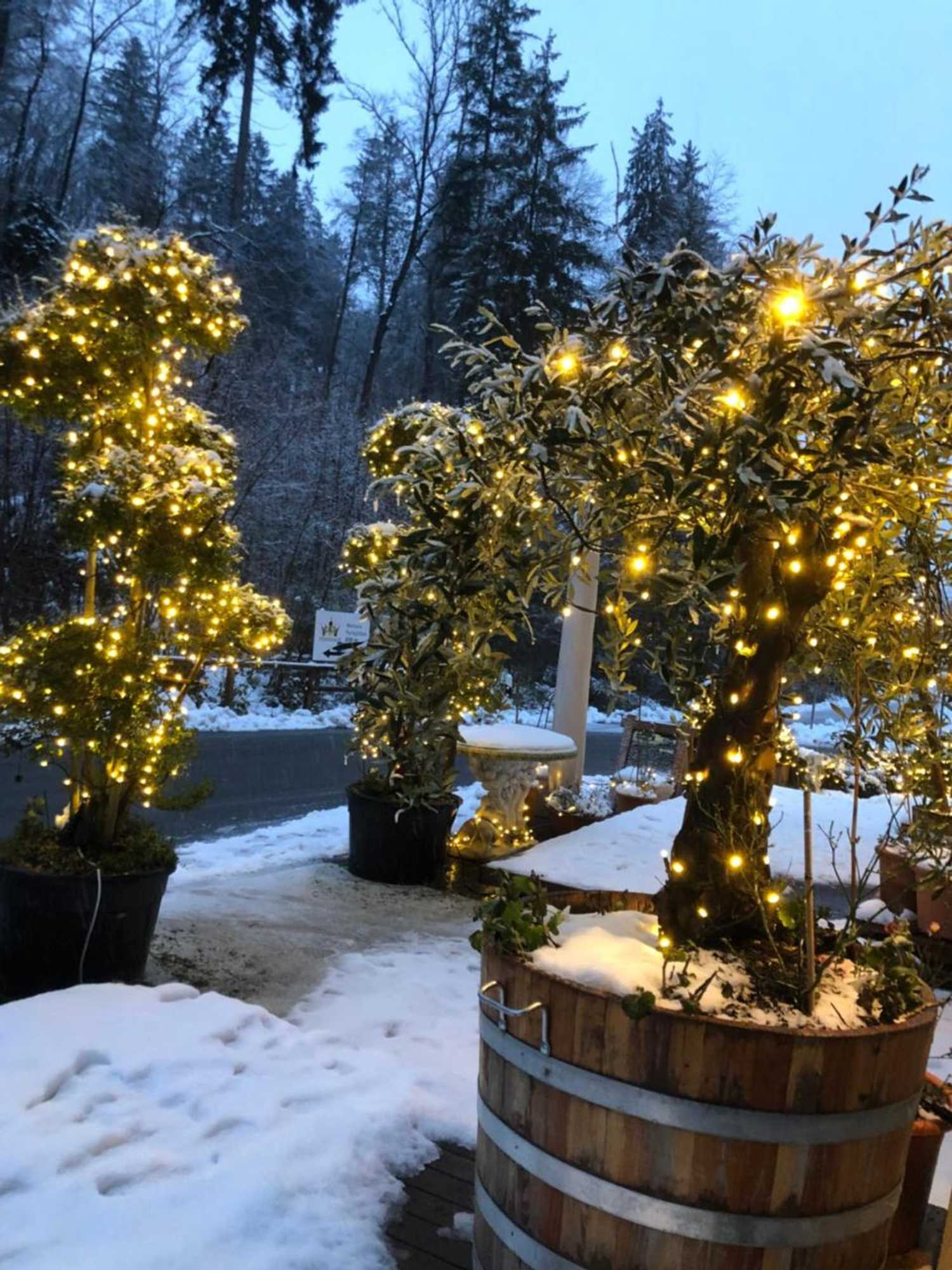 Gift card for Swiss Star Home