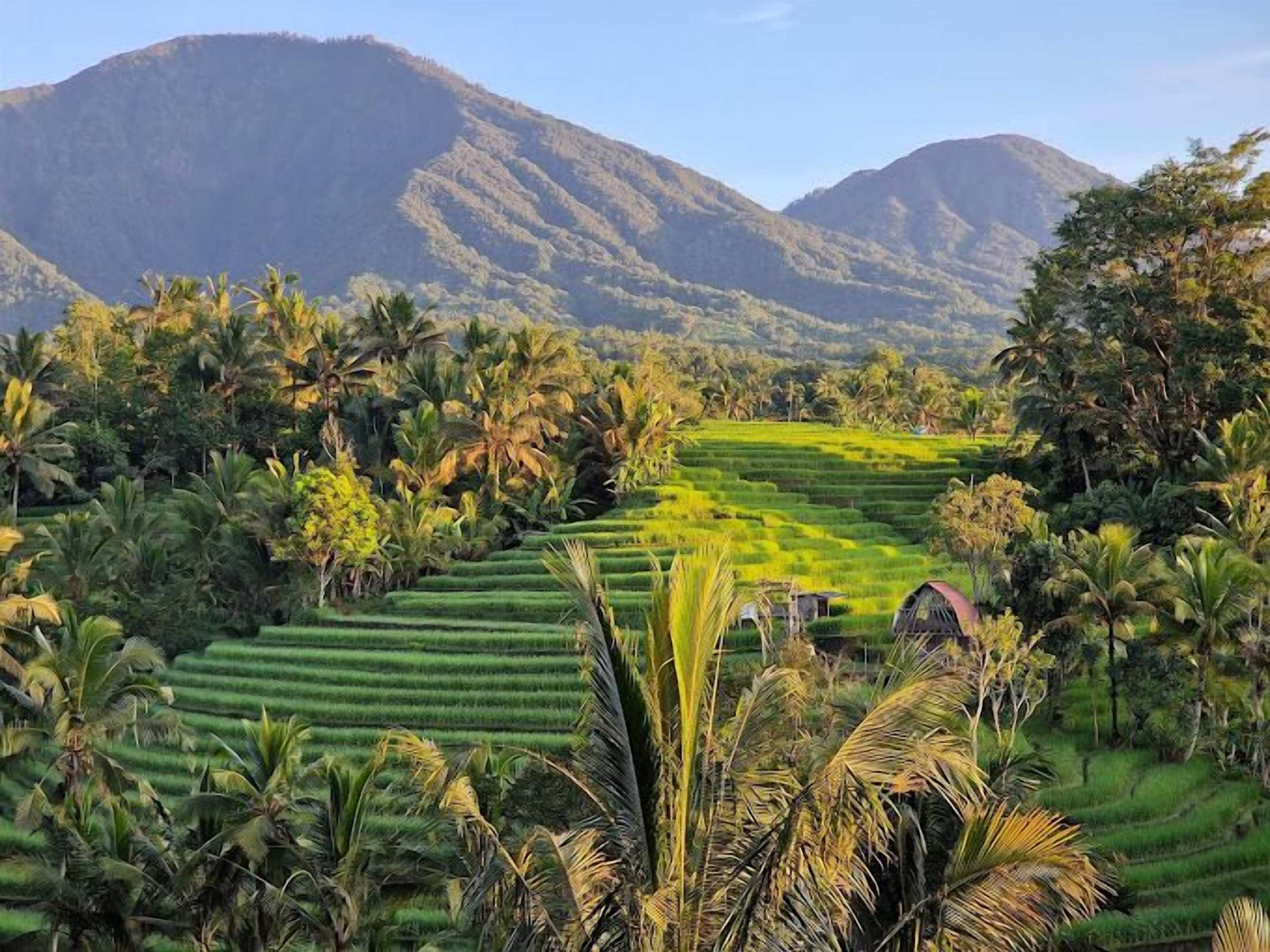 Gift card for Saridevi Ecolodge