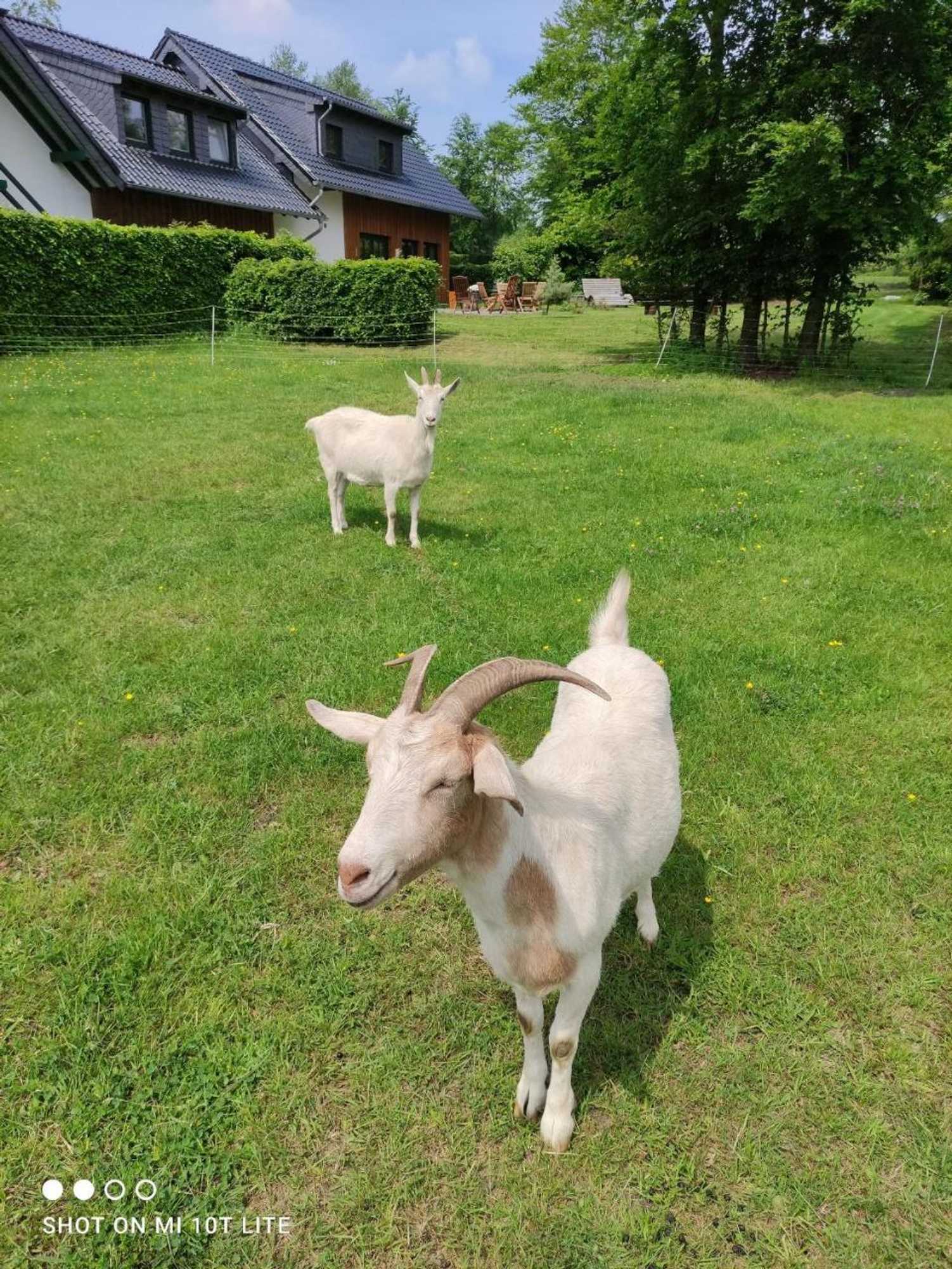 Gift card for Gästehaus Kuck