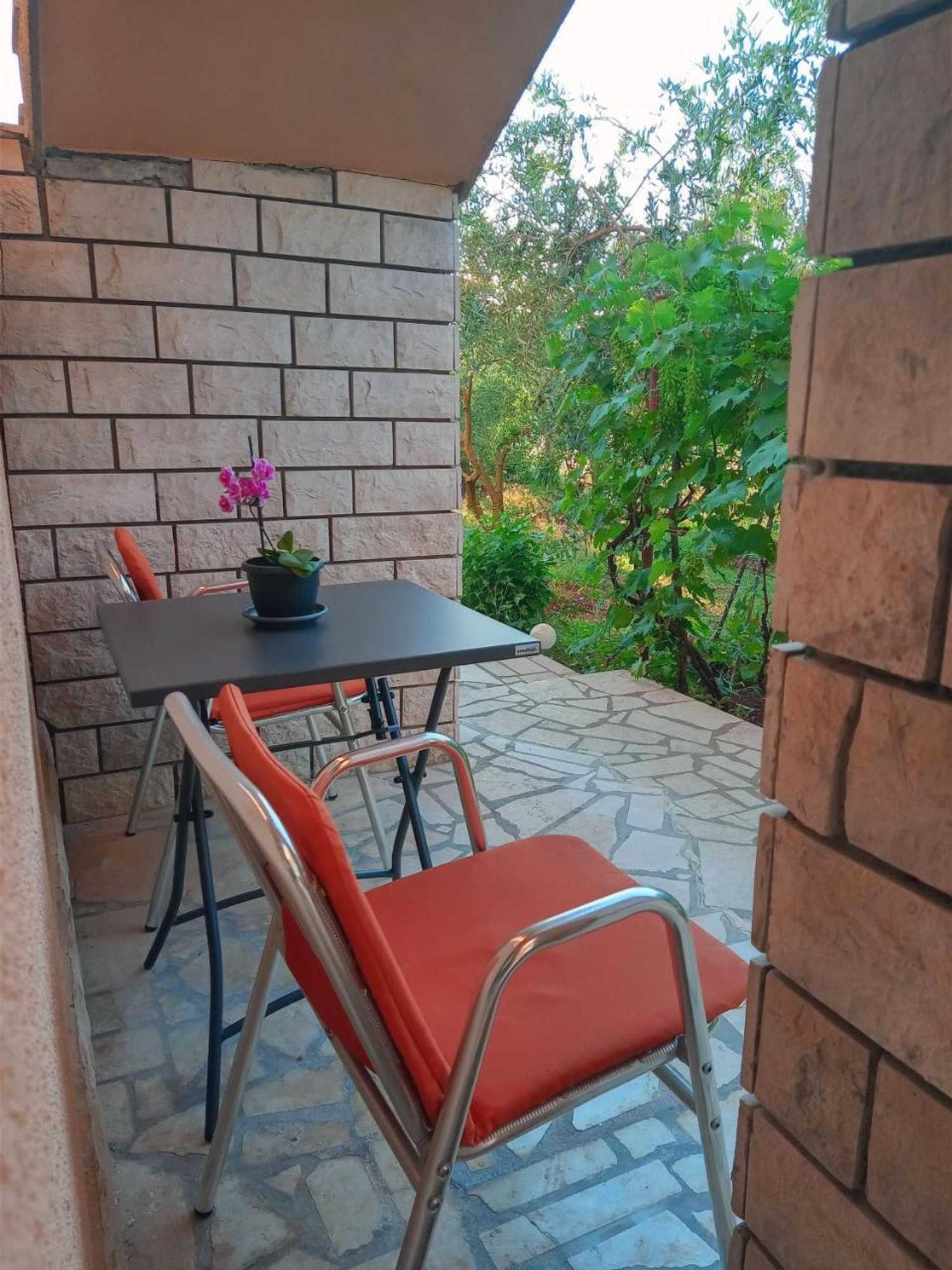 Gift card for Apartments Nela