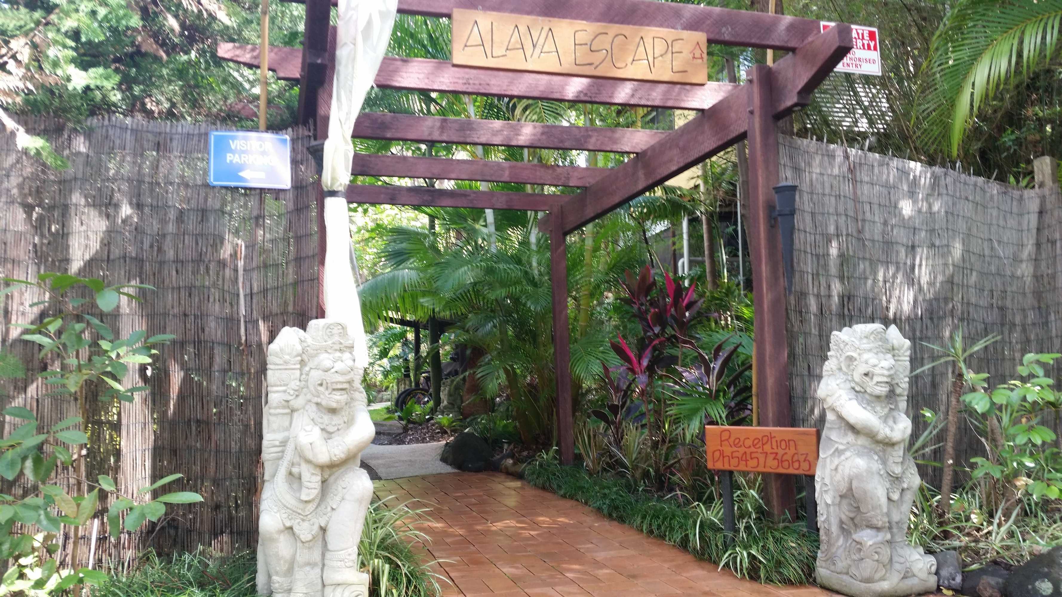 Gift card for Alaya Ascend