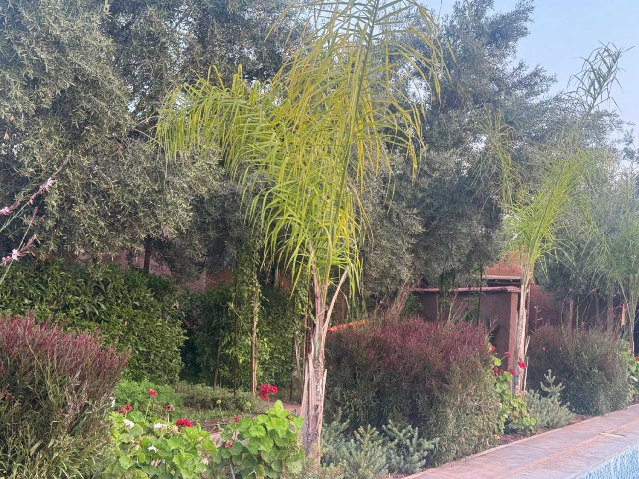 Gift card for Ecolodge Dar Bouhouta