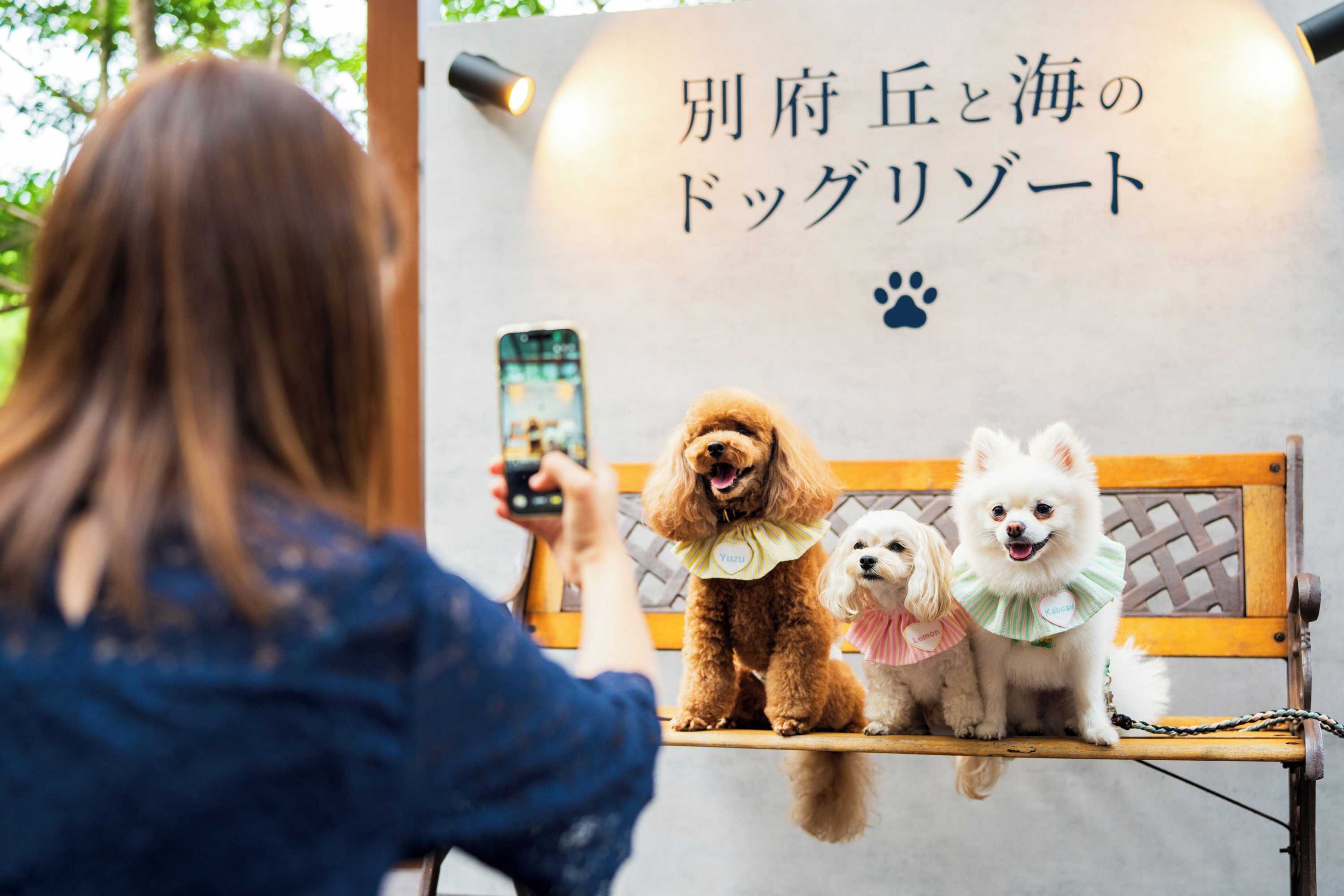 Gift card for Beppu Dog Resort Hills & Bay Gift card for Beppu Dog Resort Hills & Bay
