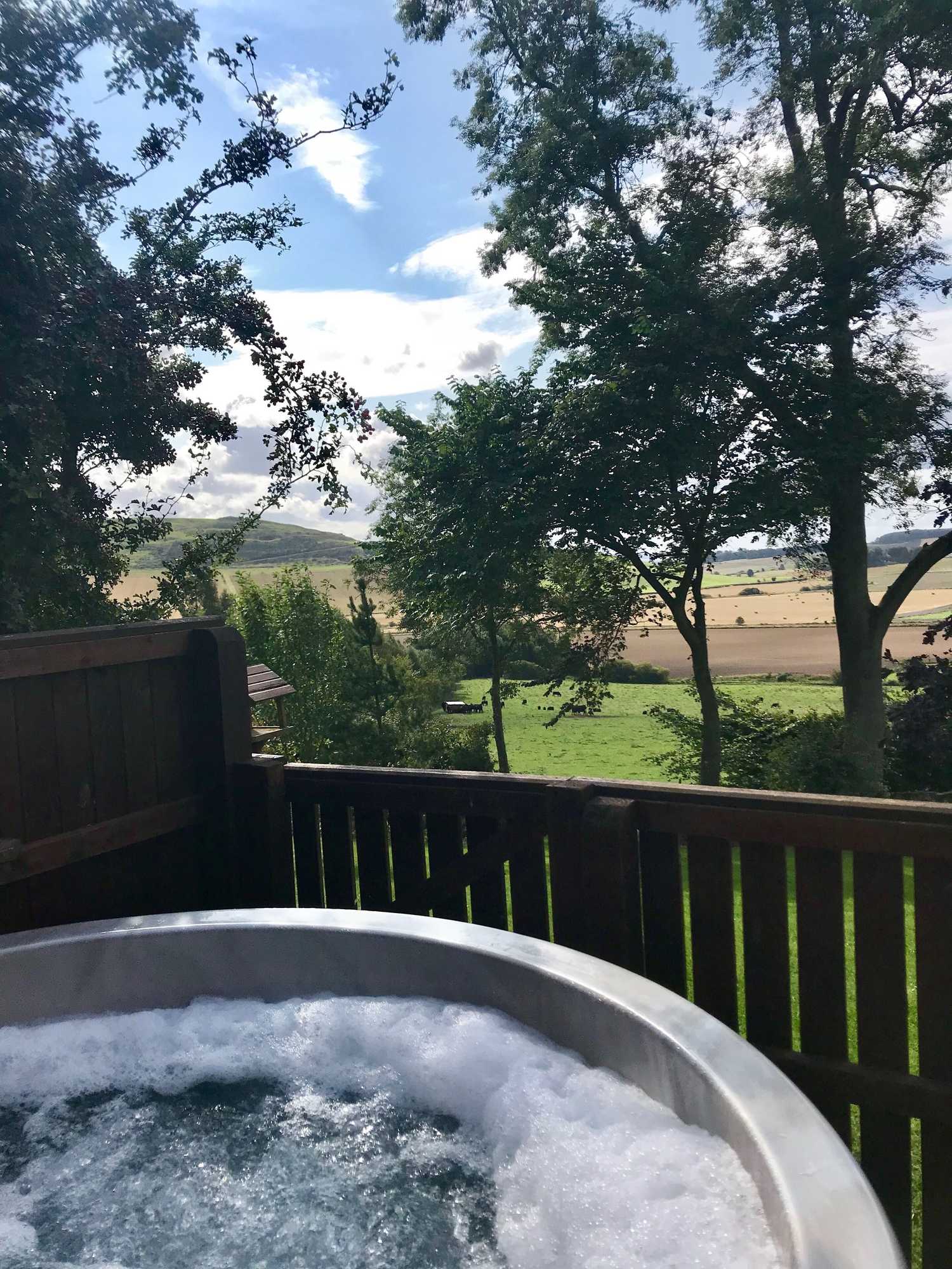 Gift card for Silver Birch Lodge With Hot Tub Near Cupar, Fife