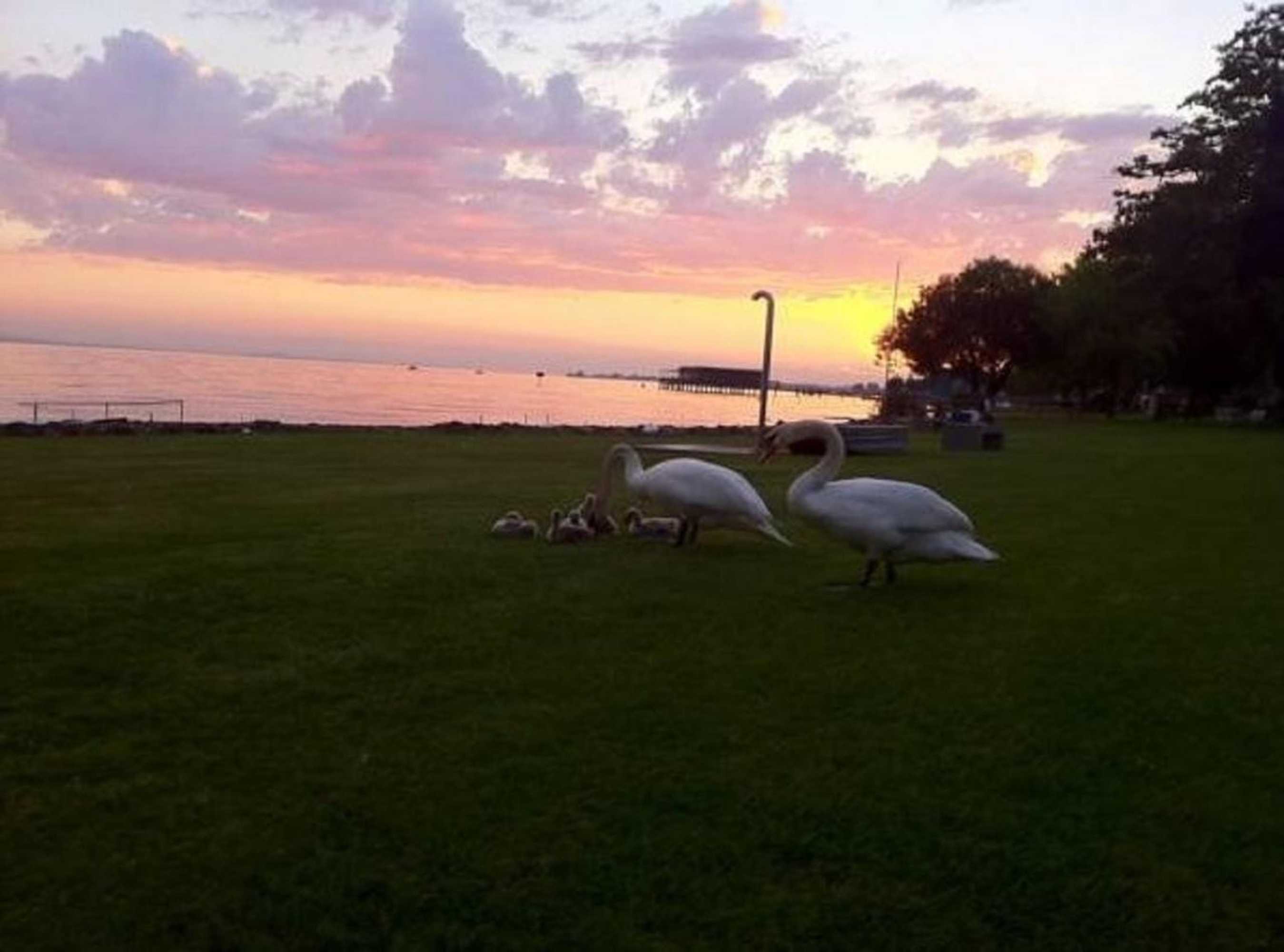 Gift card for Bodensee-Ferienwohnung Am Ruggbach