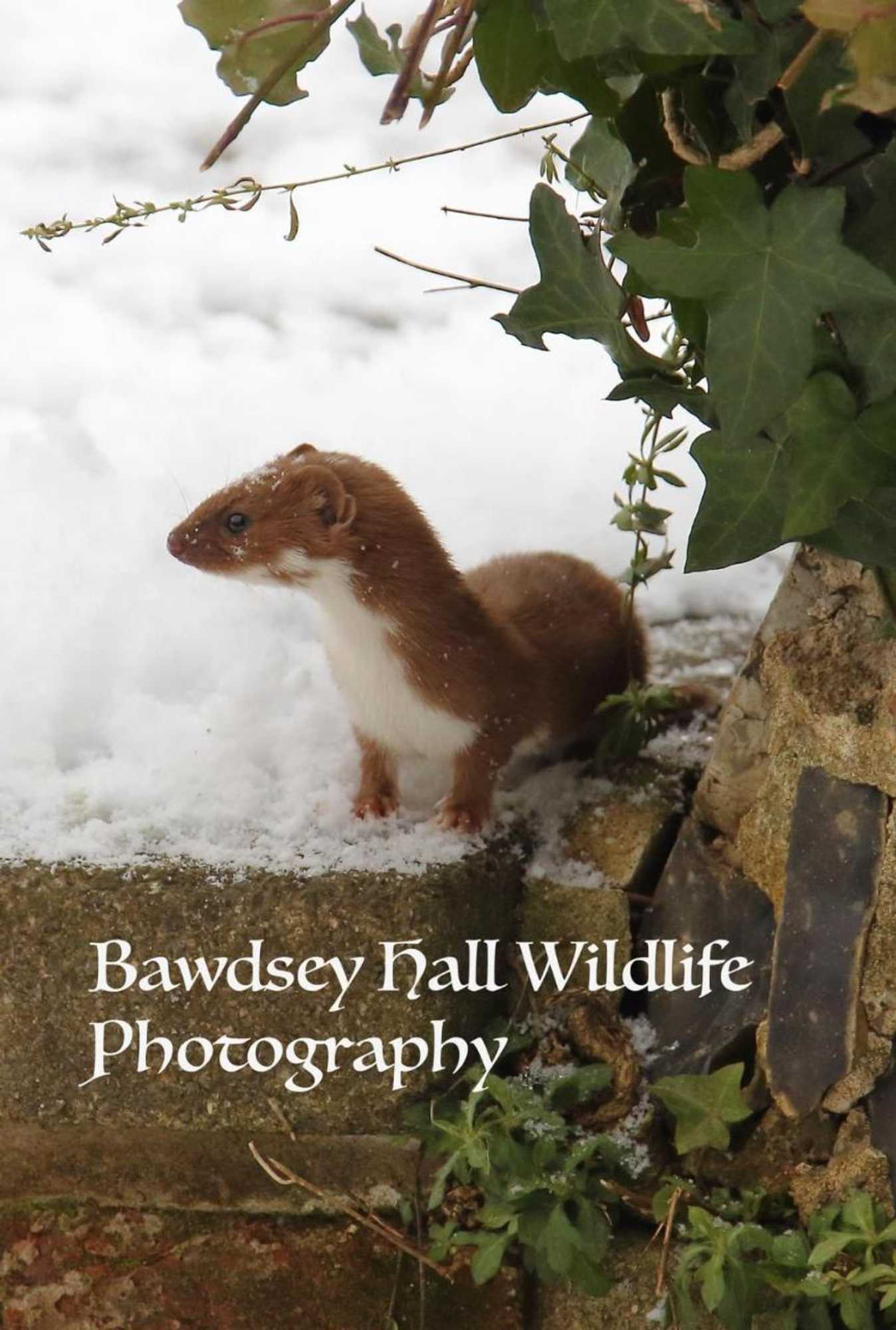 Gift card for Bawdsey Hall