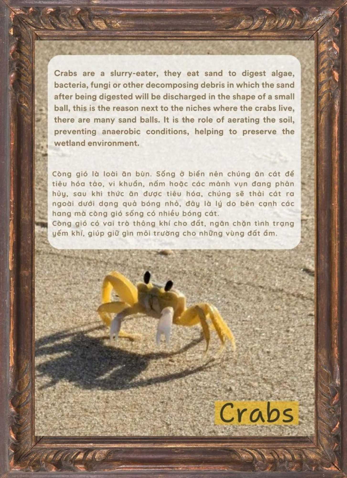 Gift card for Paradise Resort Doc Let Gift card for Paradise Resort Doc Let