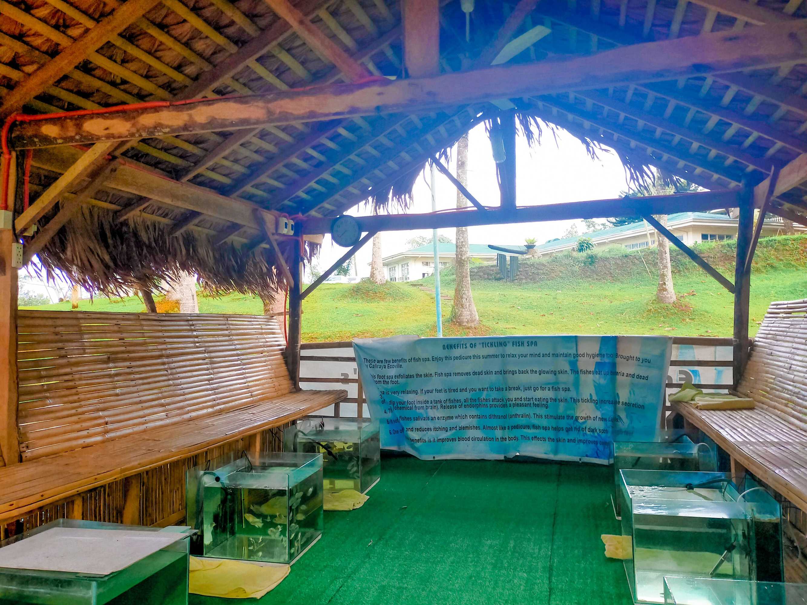 Gift card for Caliraya Ecoville Recreation And Farm Resort