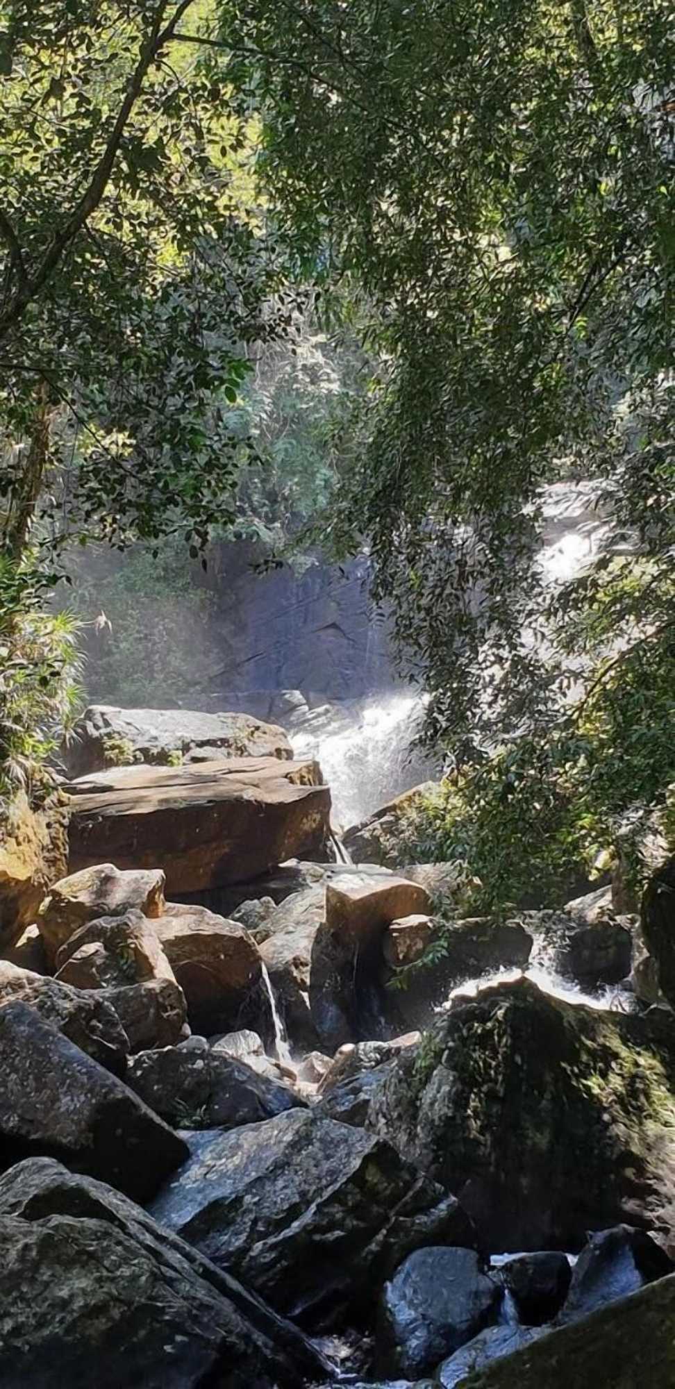 Gift card for 360 Rainforest
