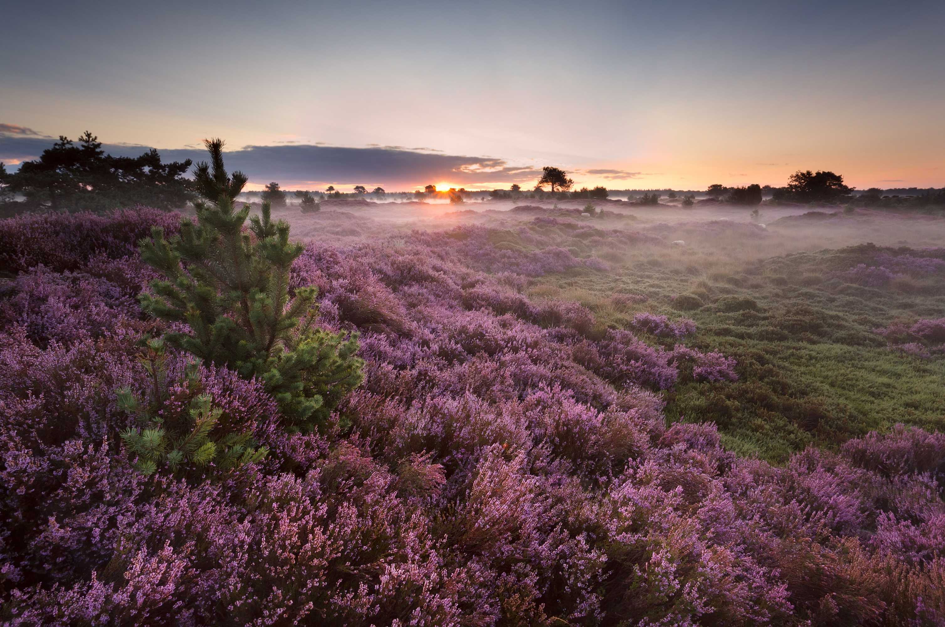 Gift card for Veluwe Hotel De Beyaerd