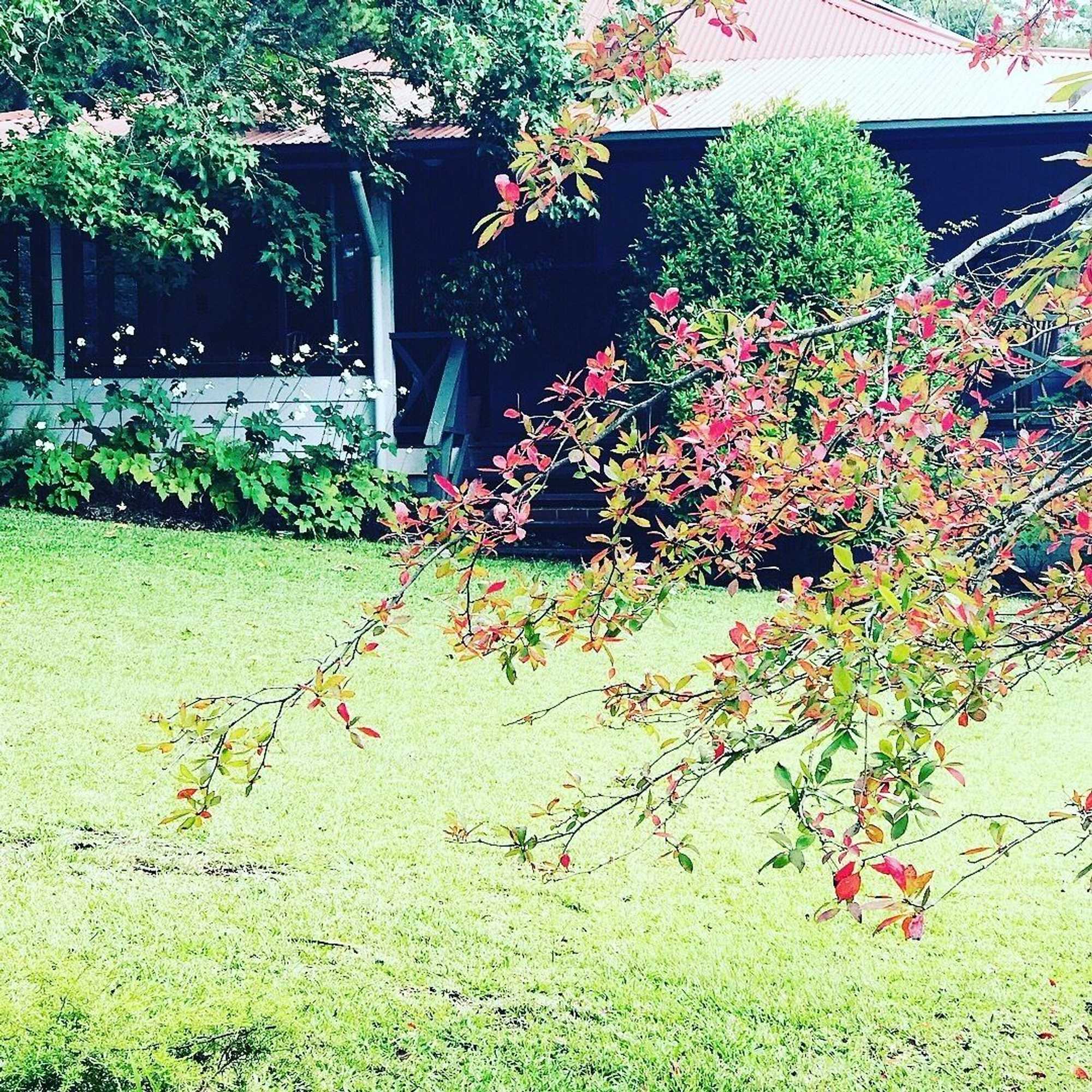 Gift card for The Rustic Spirit