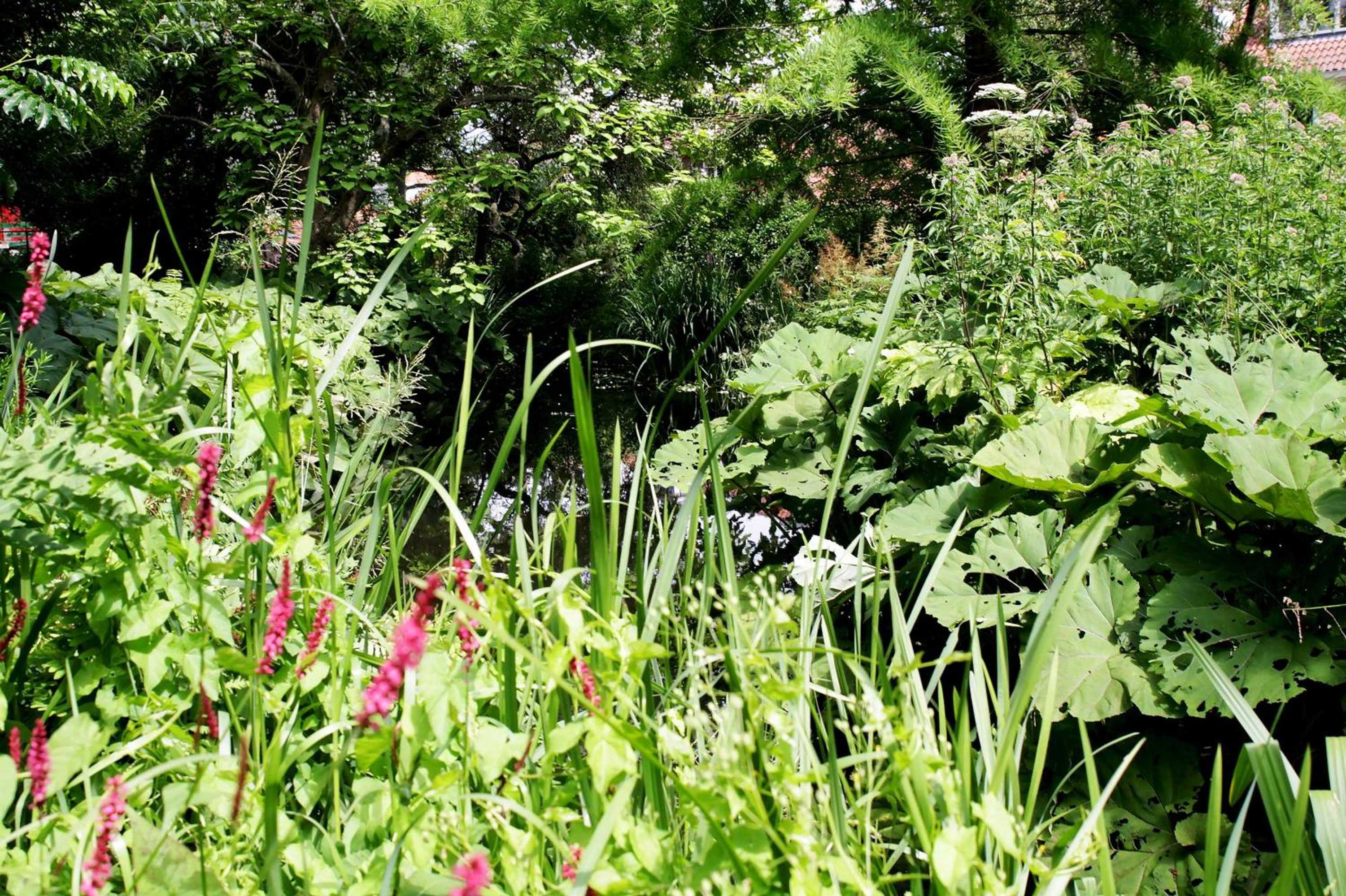 Gift card for Hotel Restaurant Koekenbier Abcoude