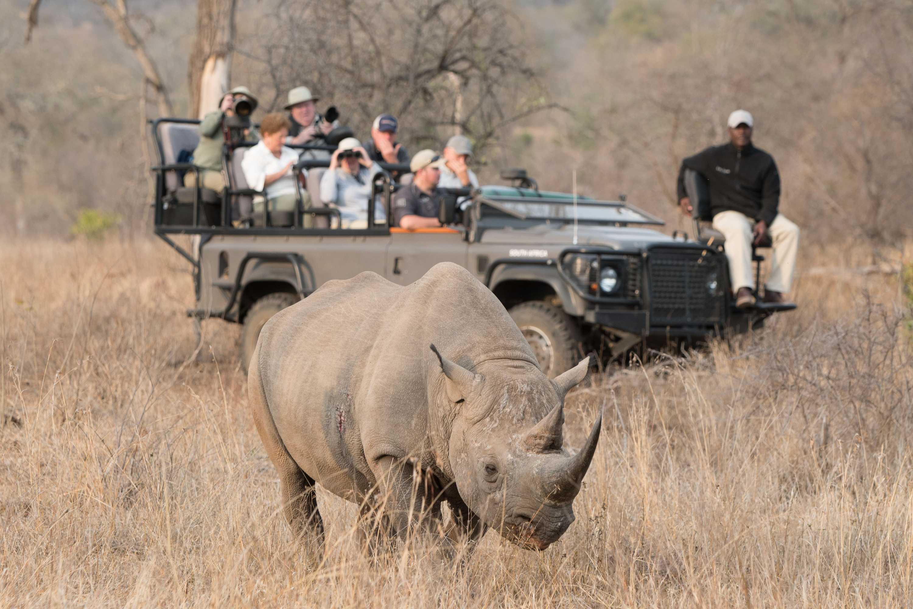 Gift card for Lion Sands Ivory Lodge