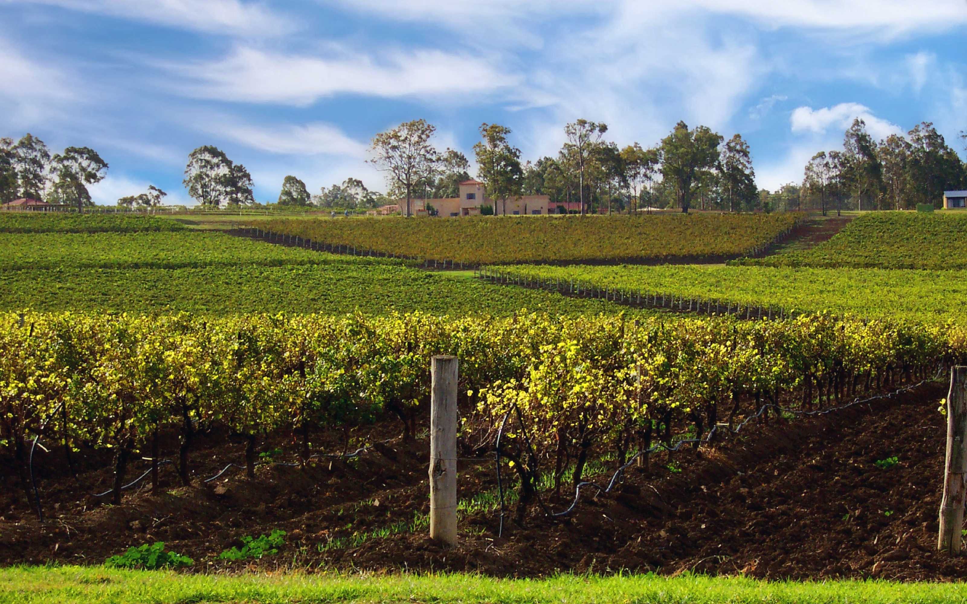 Gift card for Estate Tuscany Gift card for Estate Tuscany
