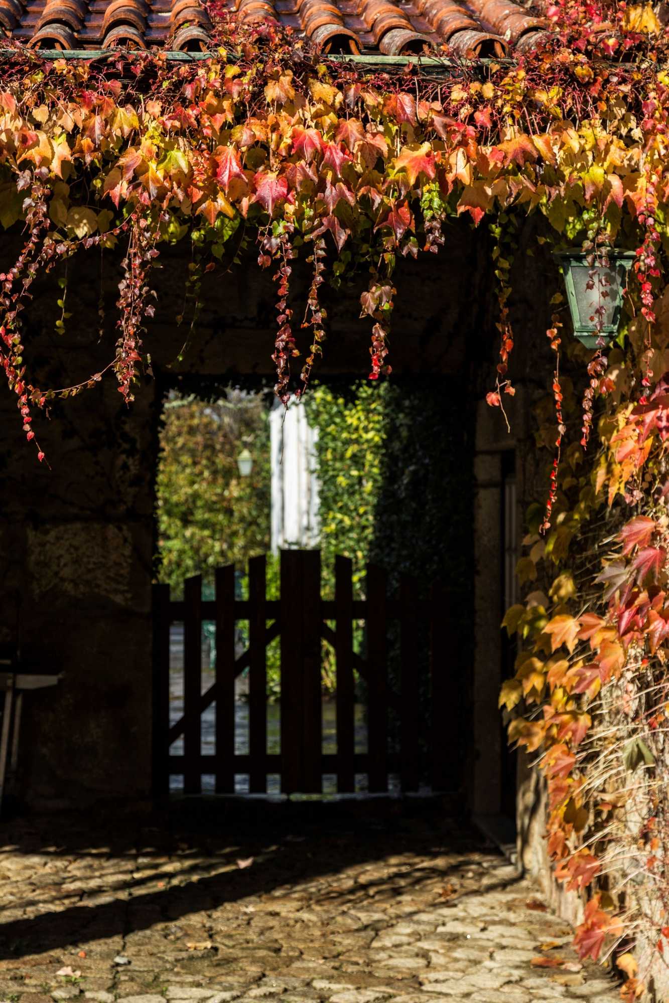 Gift card for Quinta da Roseira