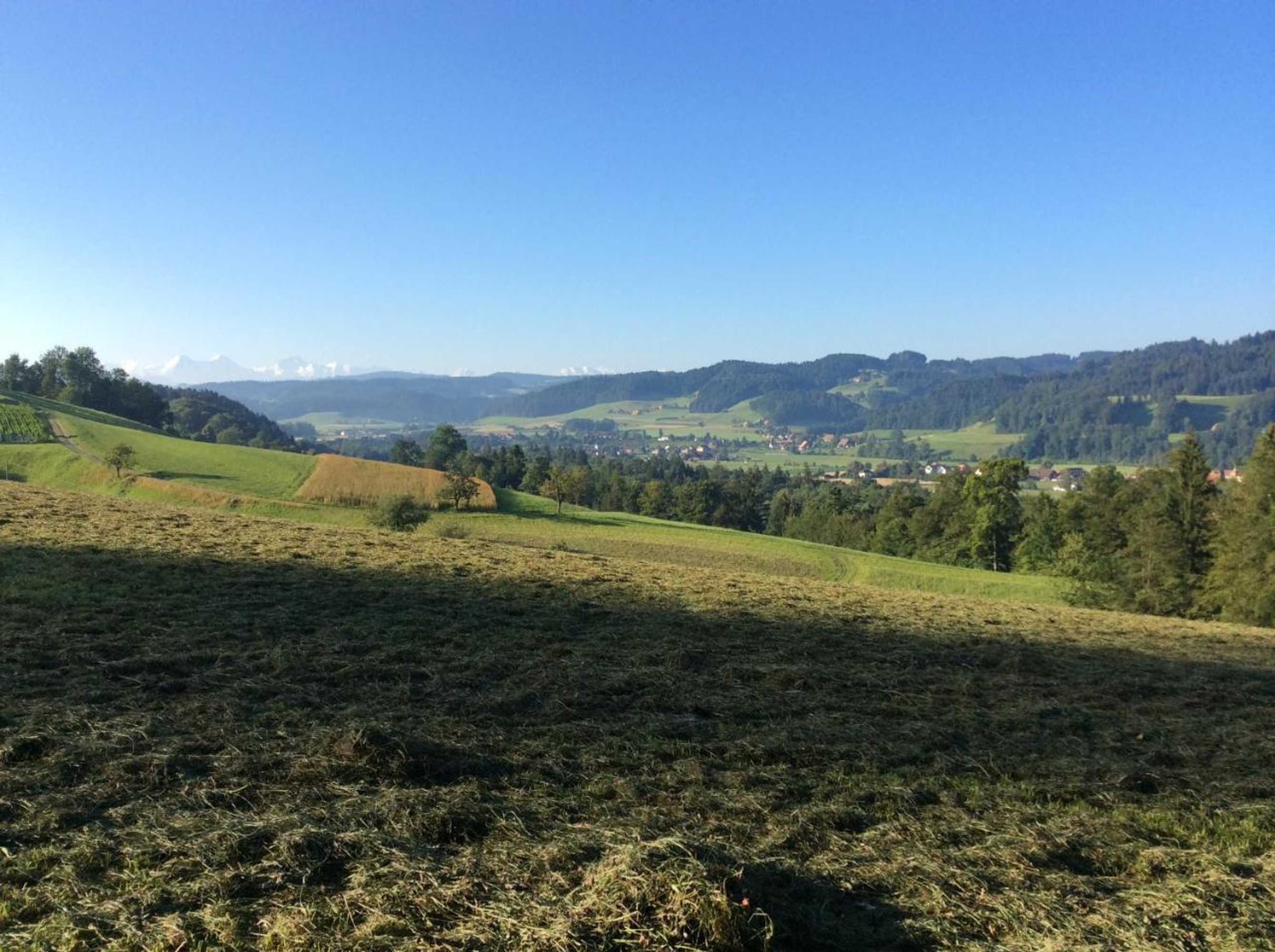 Gift card for Landcafe Mit Mini Hotel