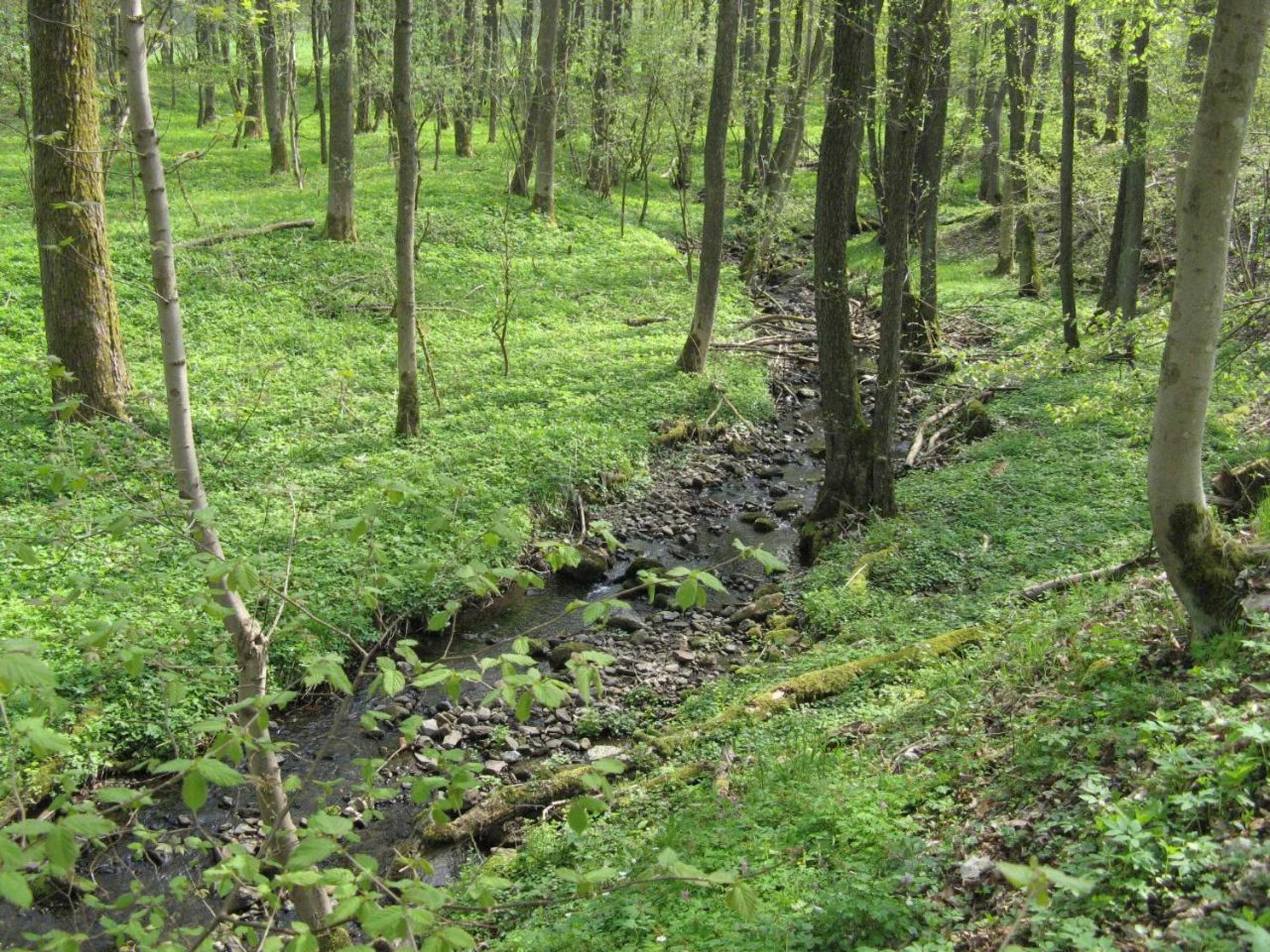 Gift card for Ferienwohnungen Angela