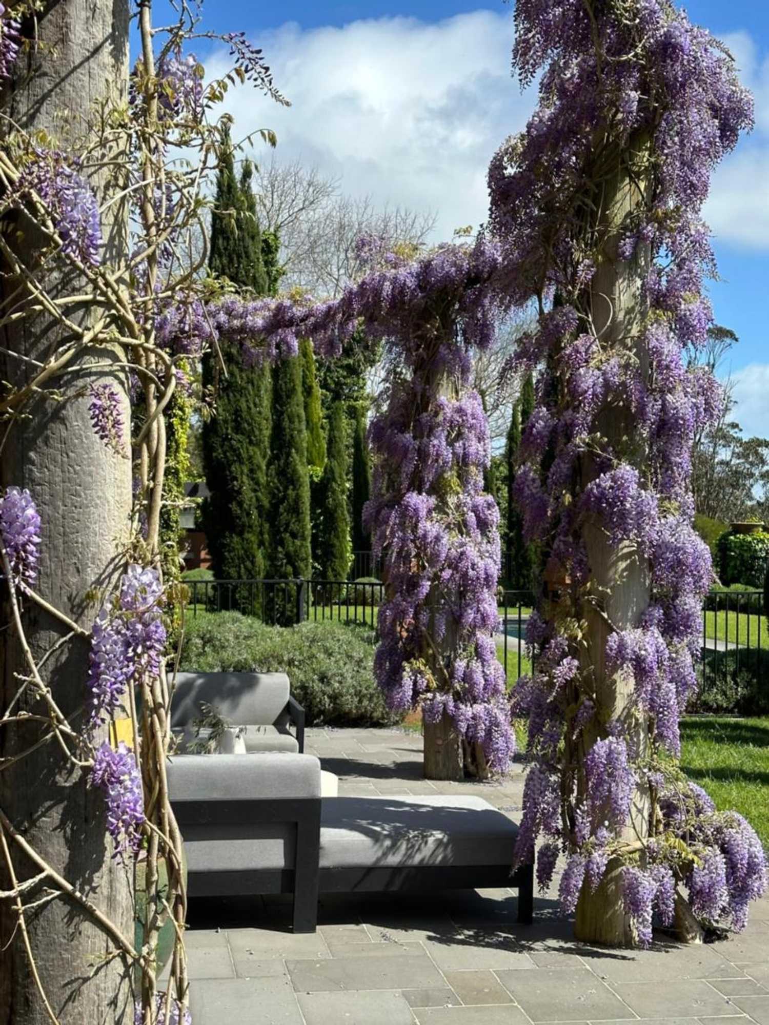 Gift card for Frogs Pond