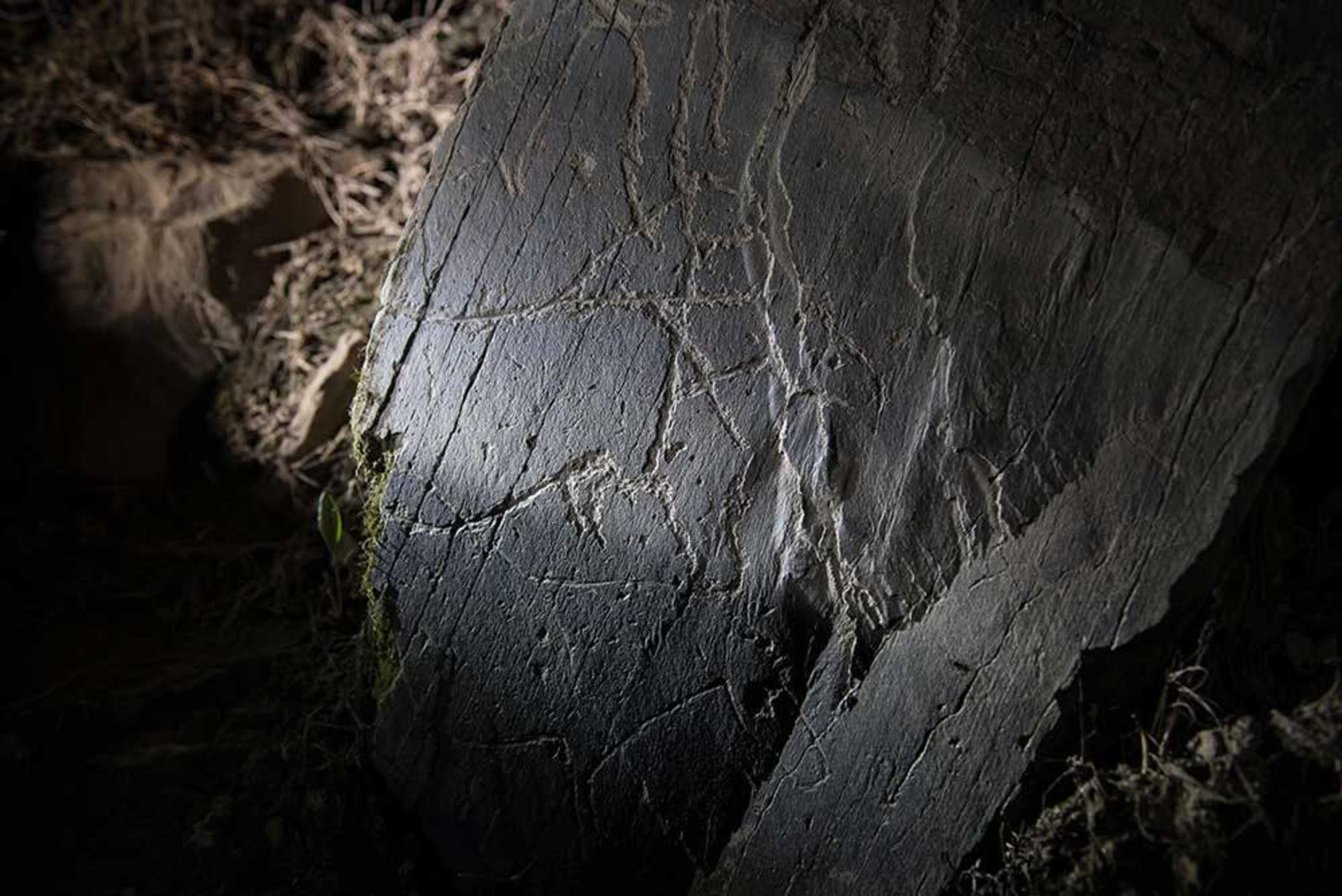 Gift card for Hotel Vale Do Côa