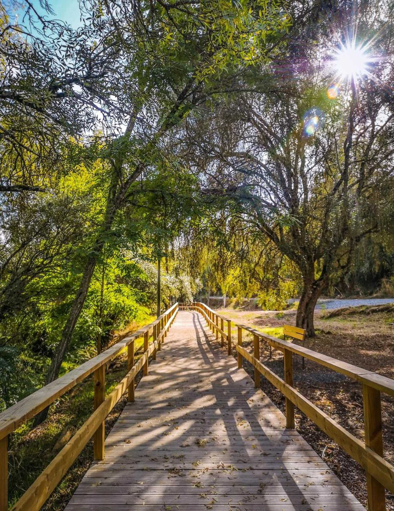 Gift card for Termas da Sulfurea