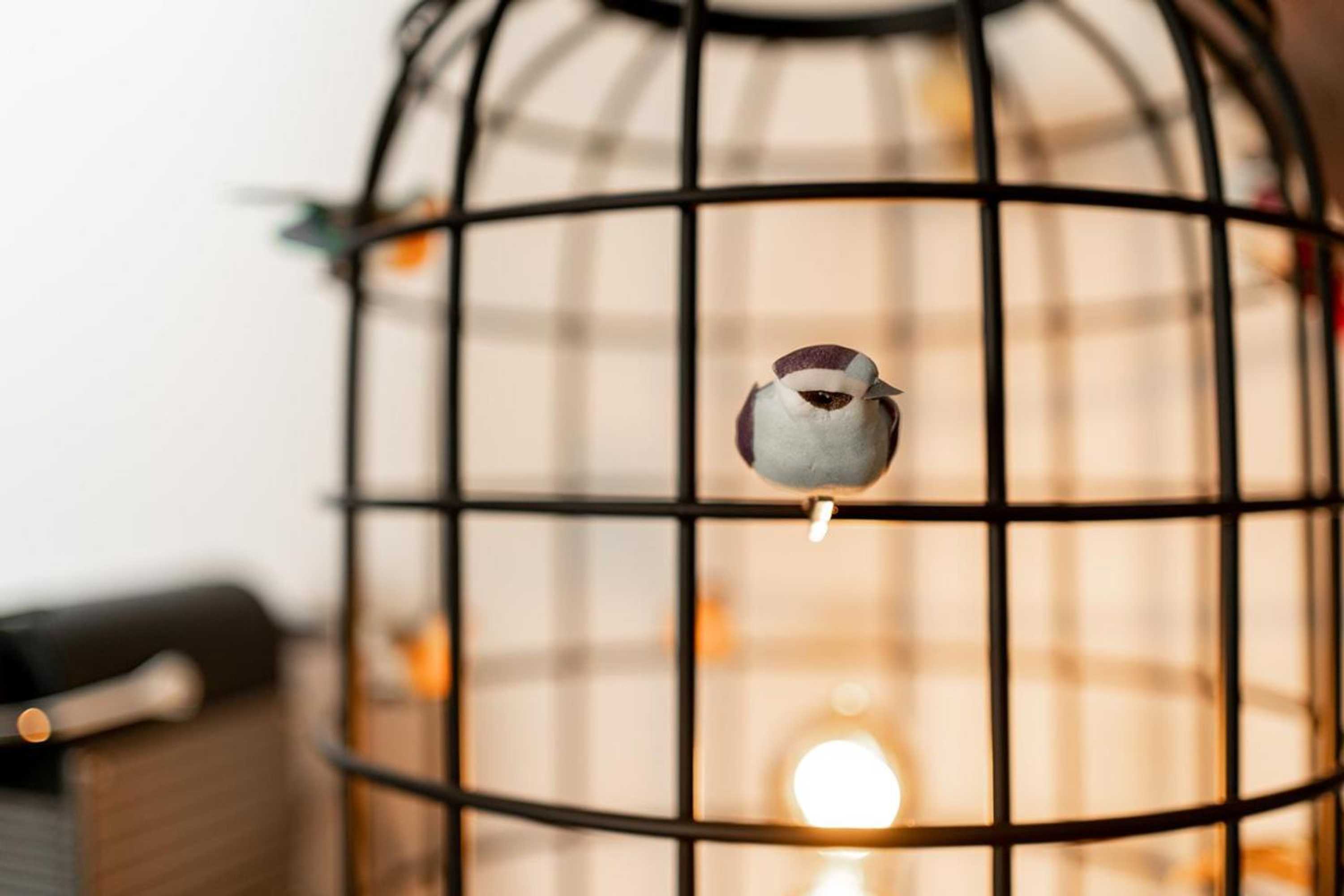 Gift card for Bossche Suites