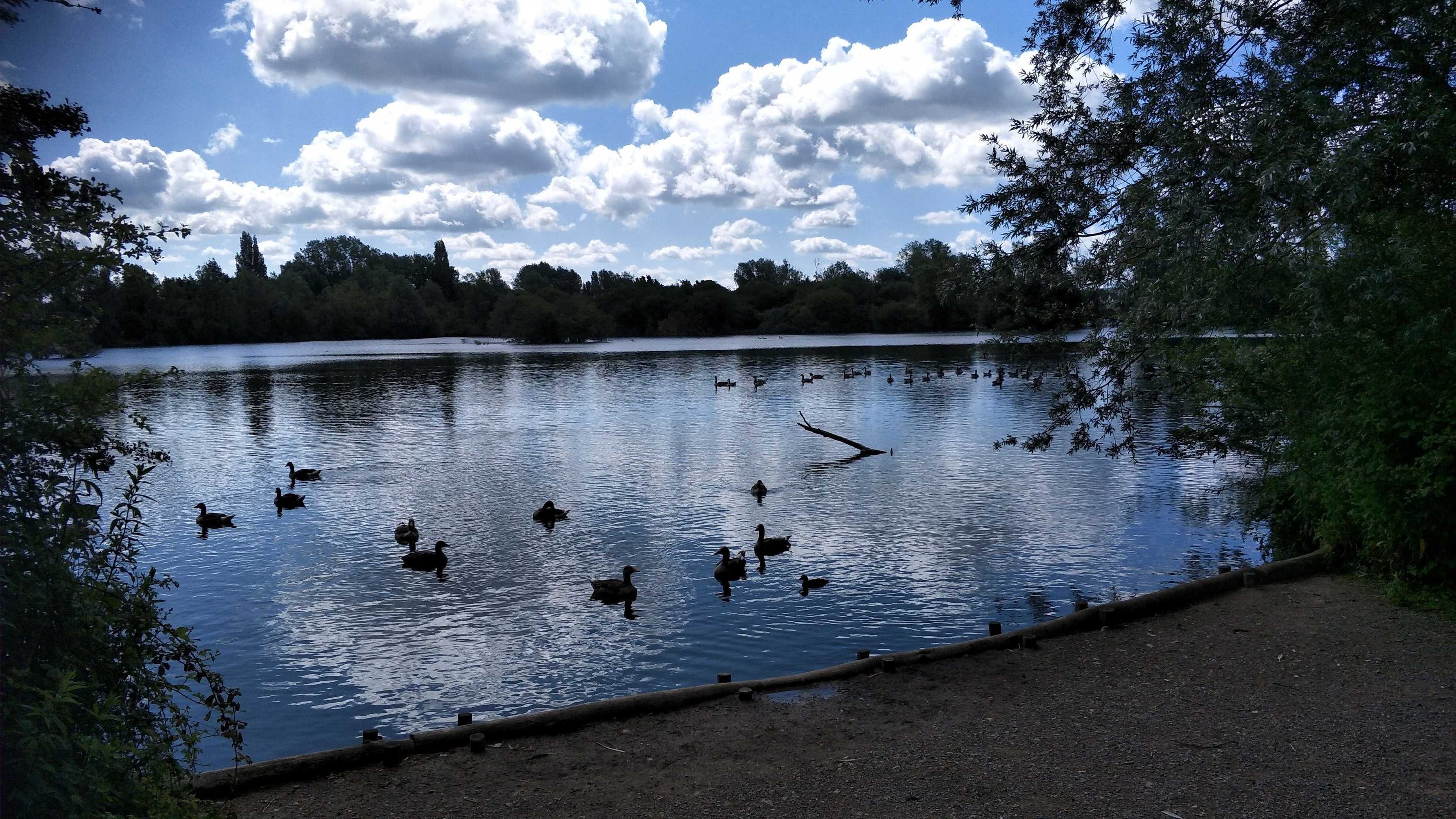 Gift card for Mallard Cottage