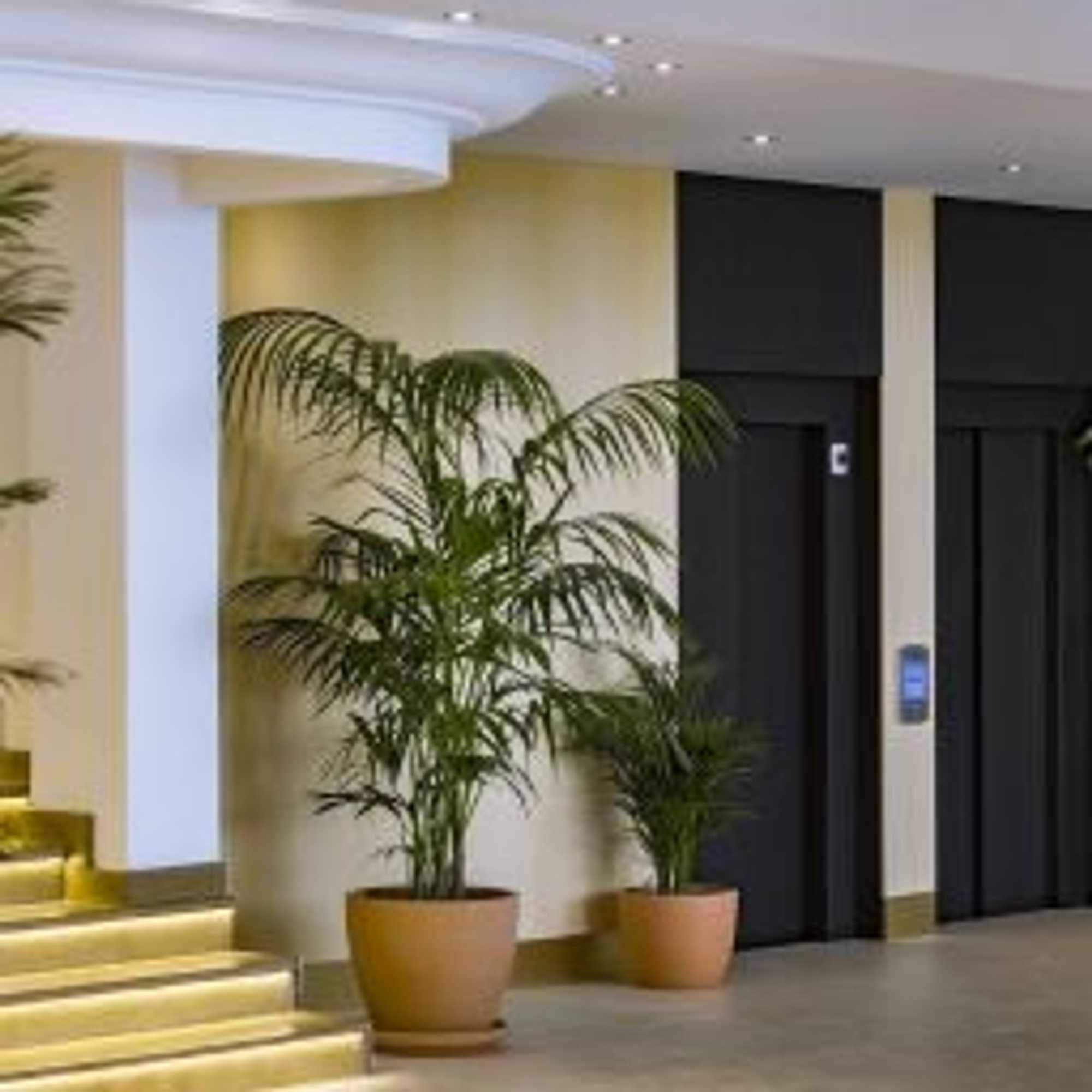 Gift card for Mediterráneo Bay Hotel & Resort Gift card for Mediterráneo Bay Hotel & Resort