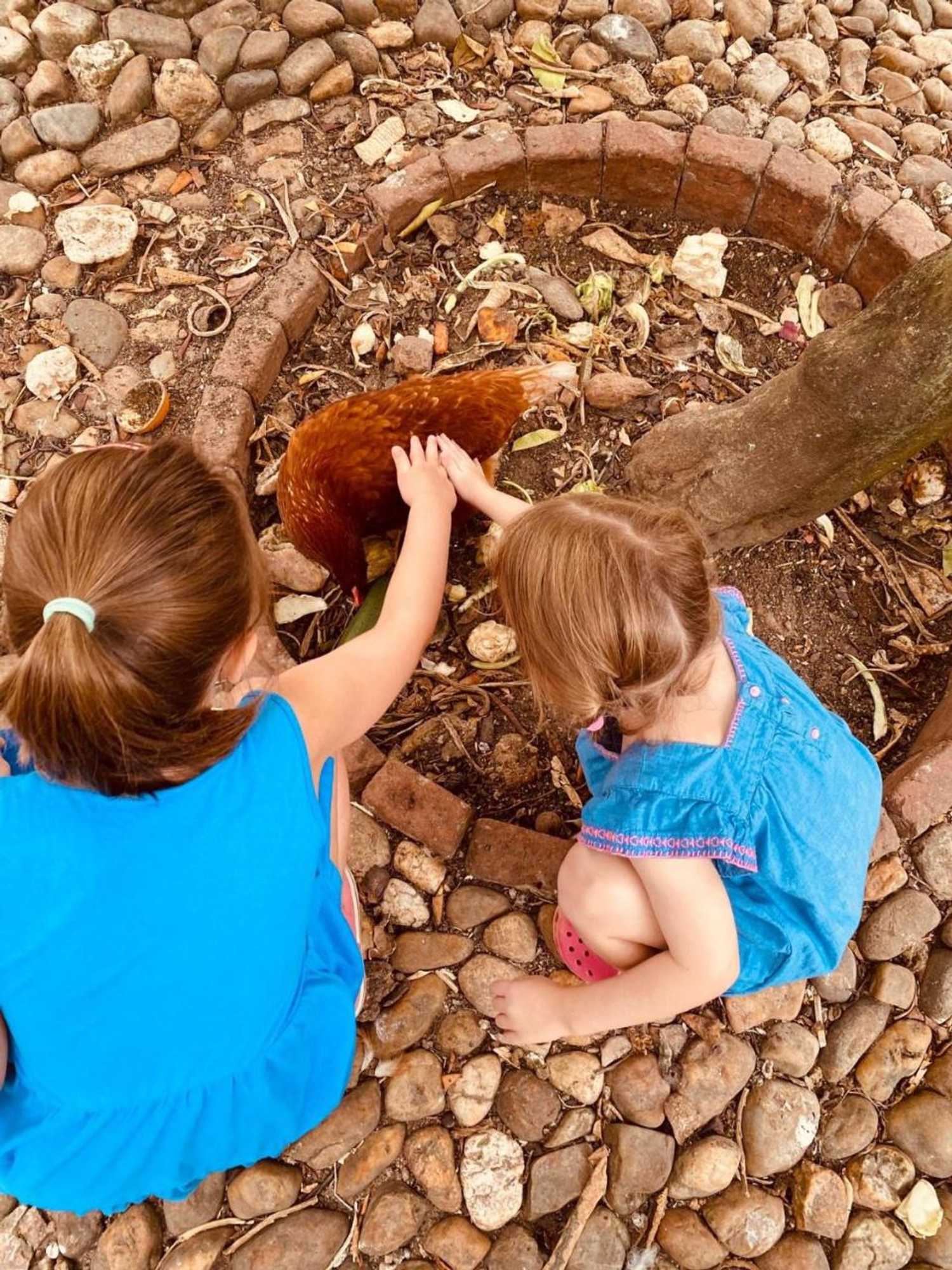 Gift card for Quinta da Bizelga Cottages