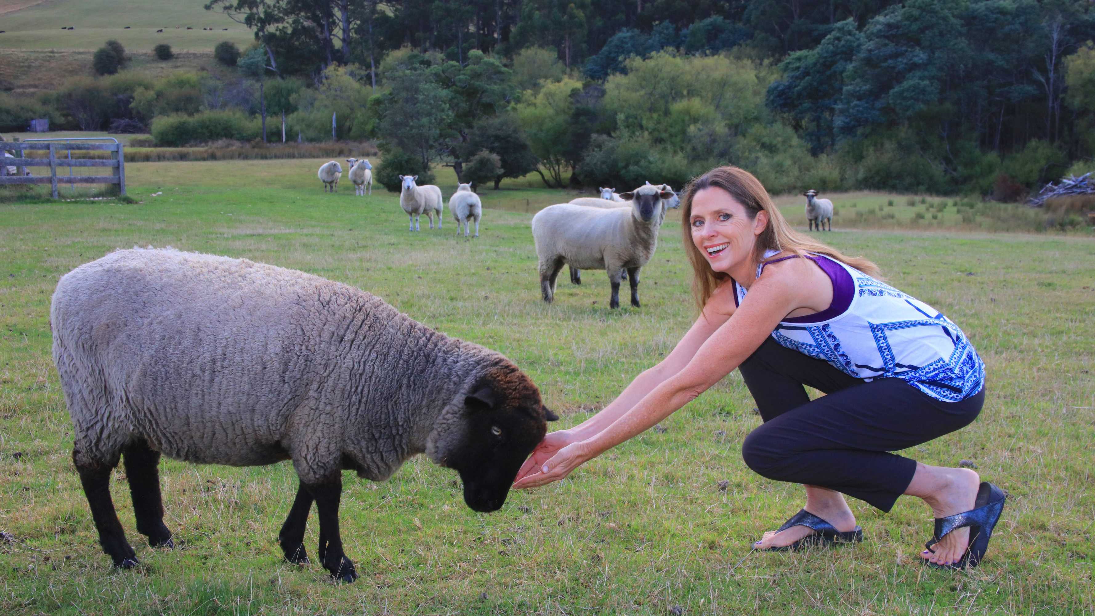 Gift card for Ashdowns of Dover B&b