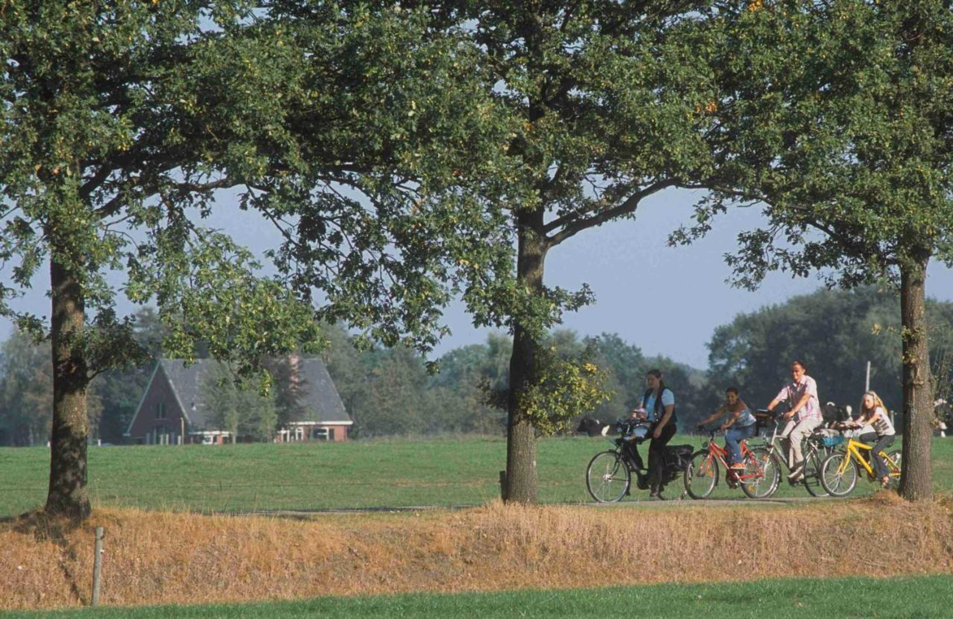 Gift card for Camping Het Wieskamp