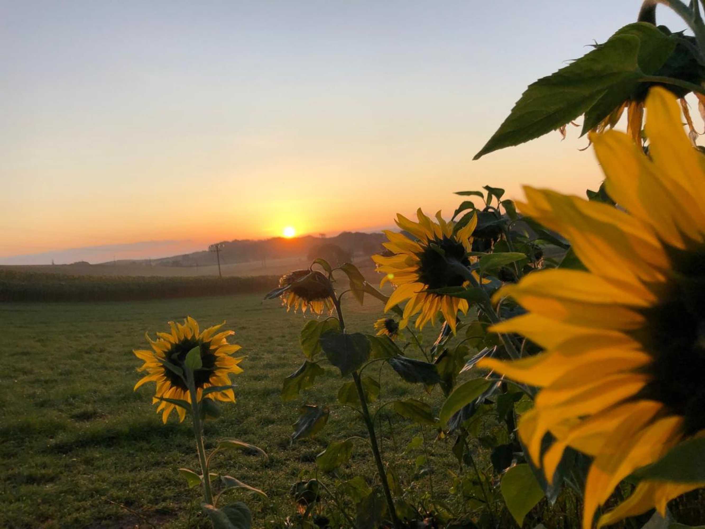 Gift card for Orchard Hideaway