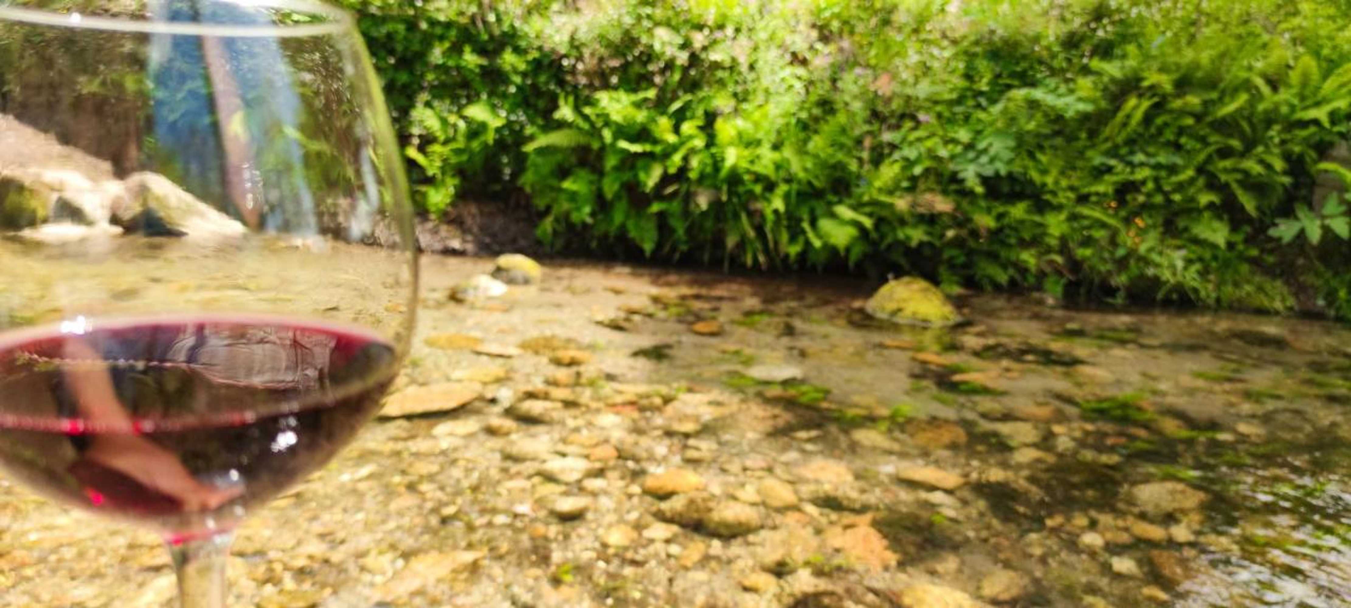 Gift card for River House - Casas do Rio Tora