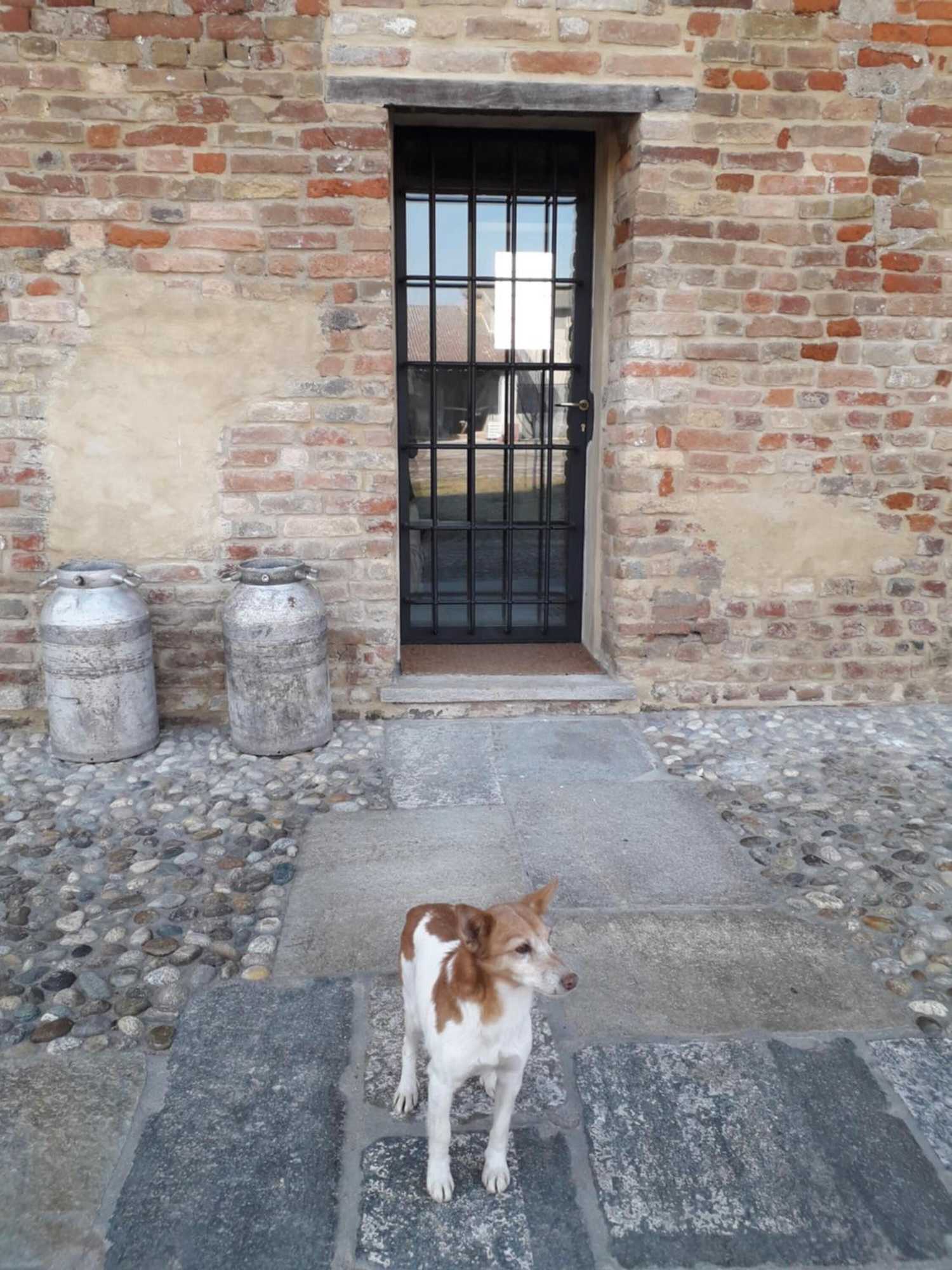 Gift card for Agriturismo Cascina Pezzolo Gift card for Agriturismo Cascina Pezzolo