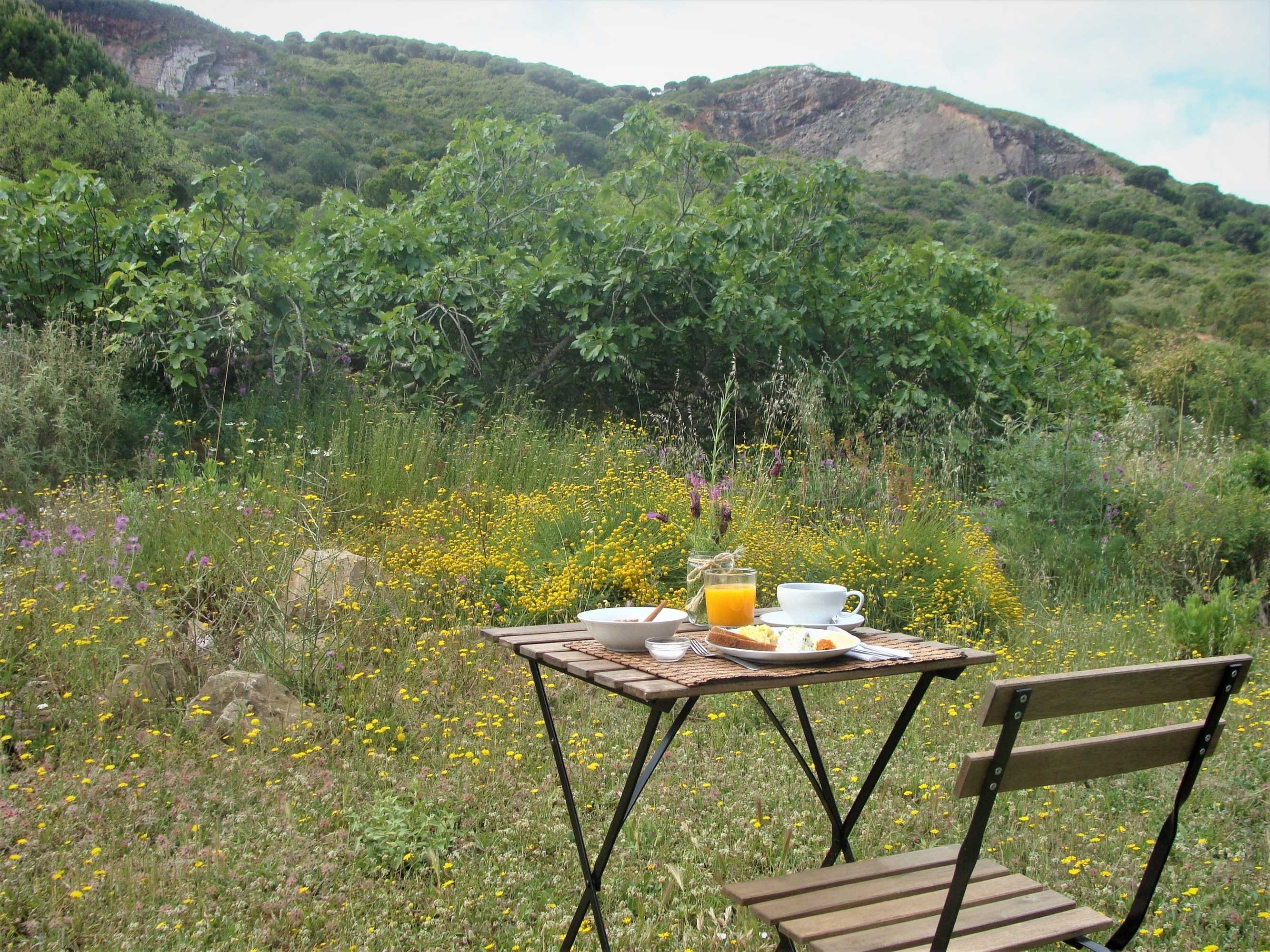 Gift card for Biovilla Sustentabilidade