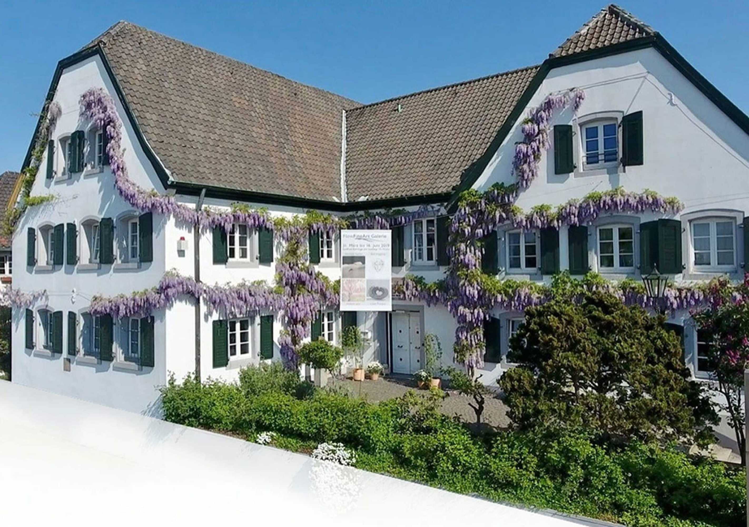 Gift card for Rhein River Guesthouse - Direkt am Rhein Gift card for Rhein River Guesthouse - Direkt am Rhein