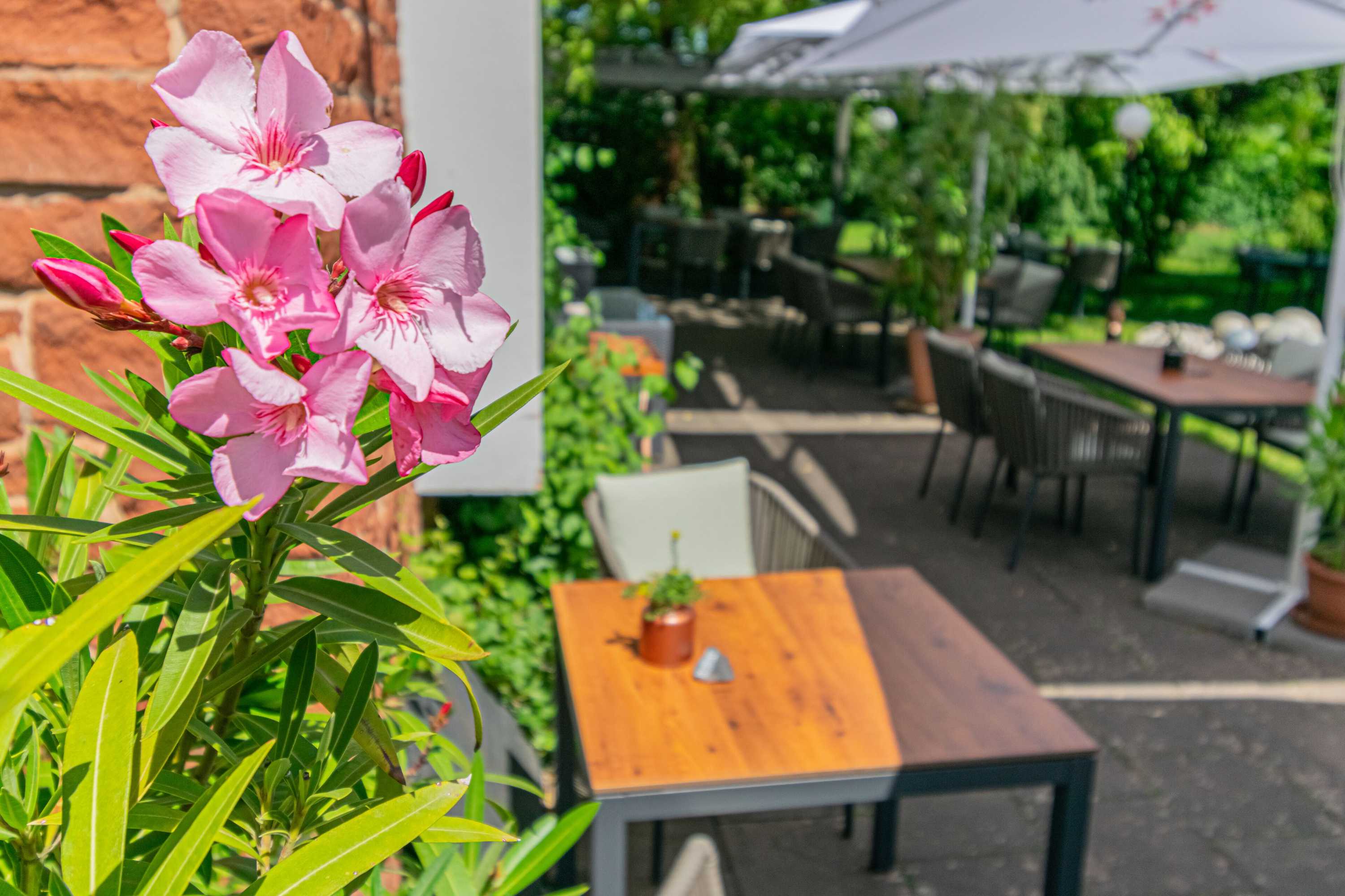 Gift card for Weinhotel Ayler Kupp Gift card for Weinhotel Ayler Kupp
